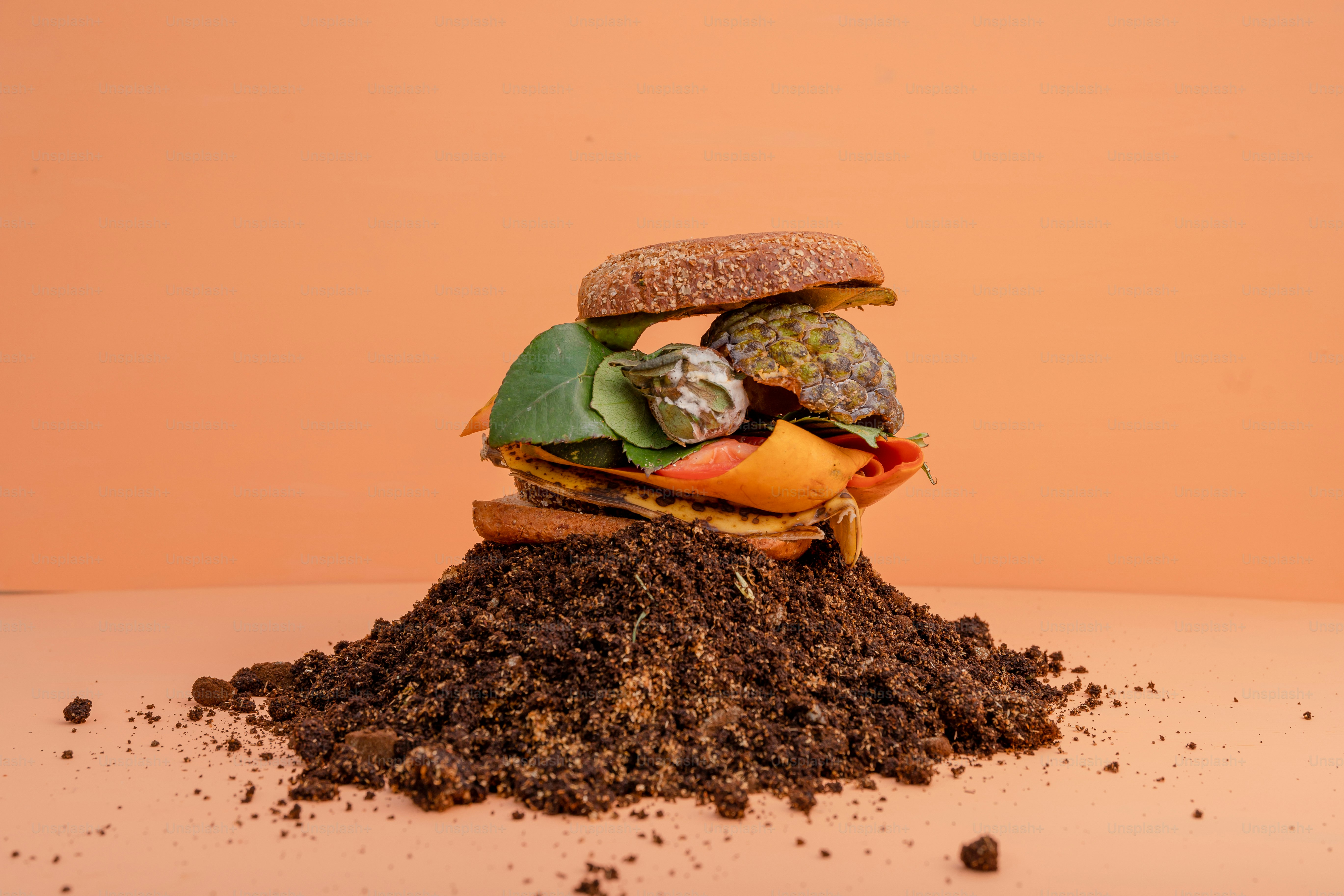 A pile of dirt with a sandwich on top of it