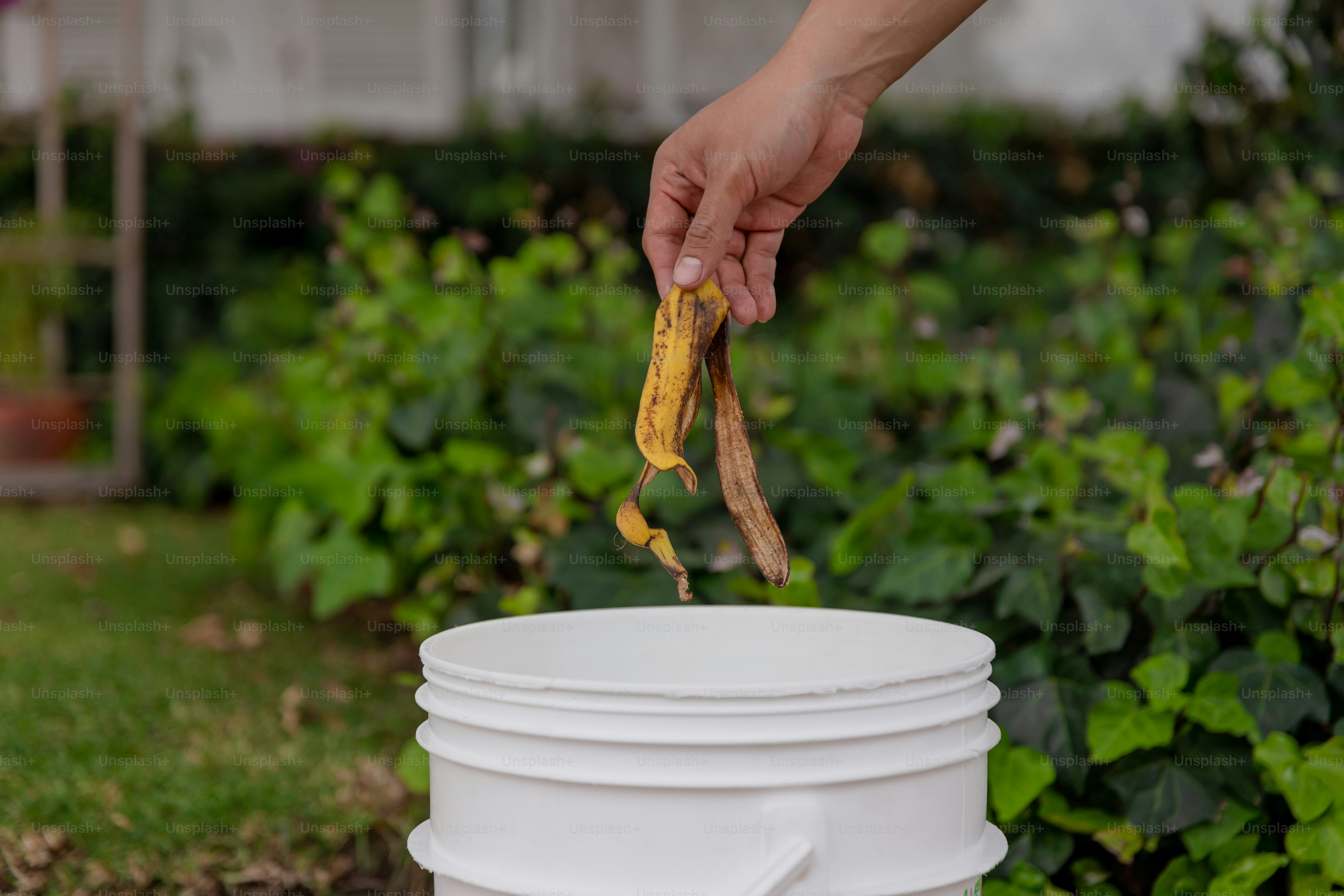 A person picking up a banana from a white container