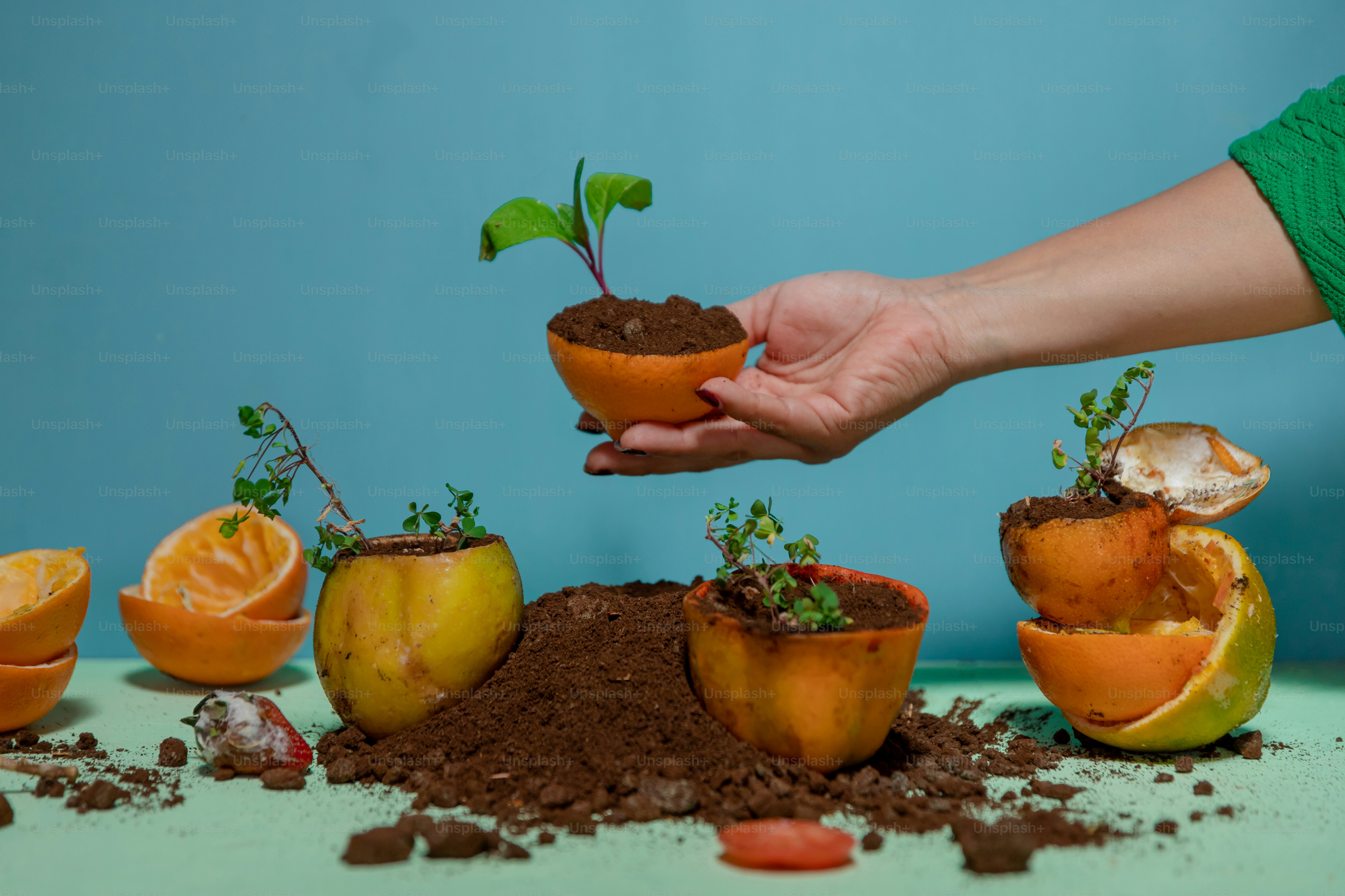 A person holding a potted plant over a pile of dirt