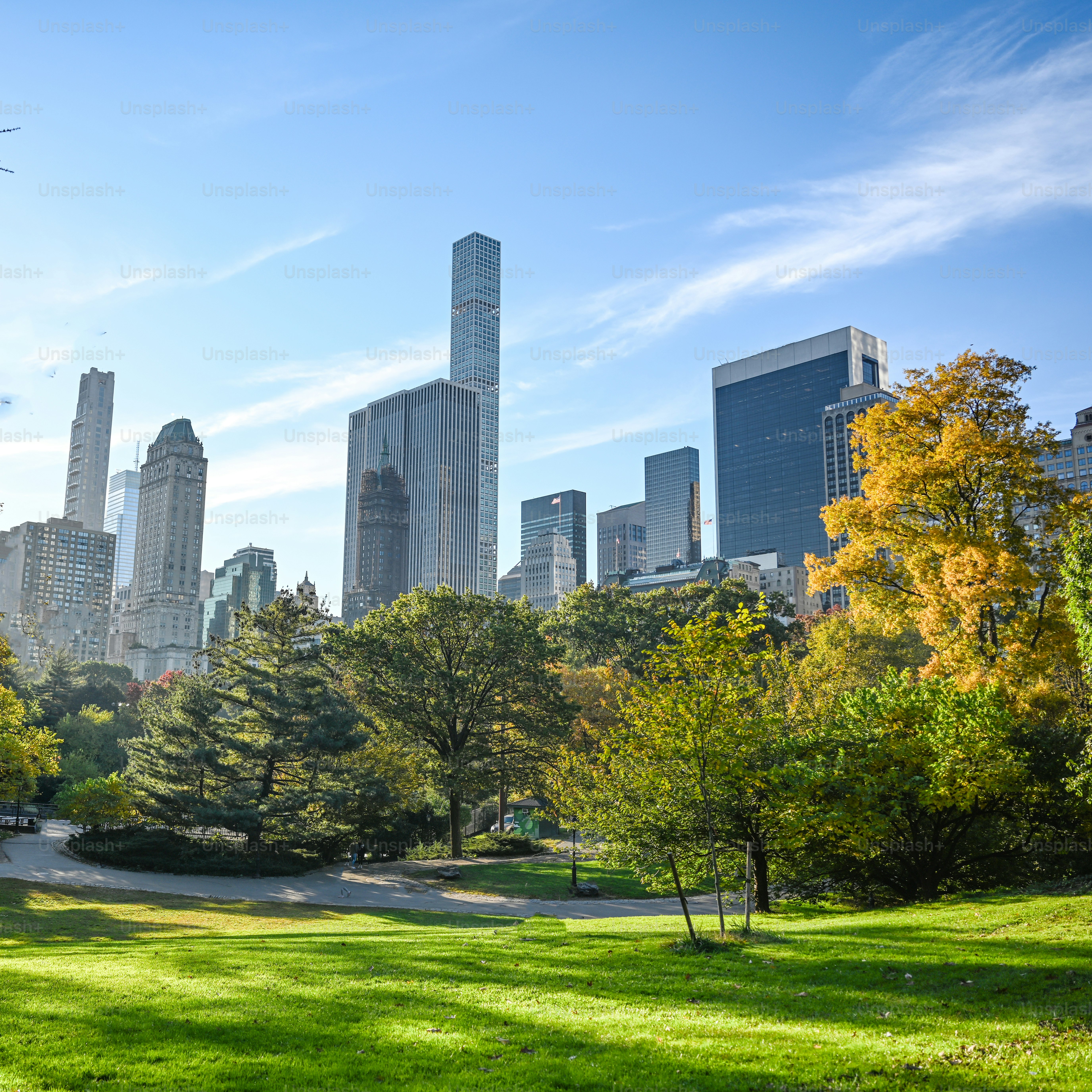 Golden autumn in Central Park, New York City, with skyline.