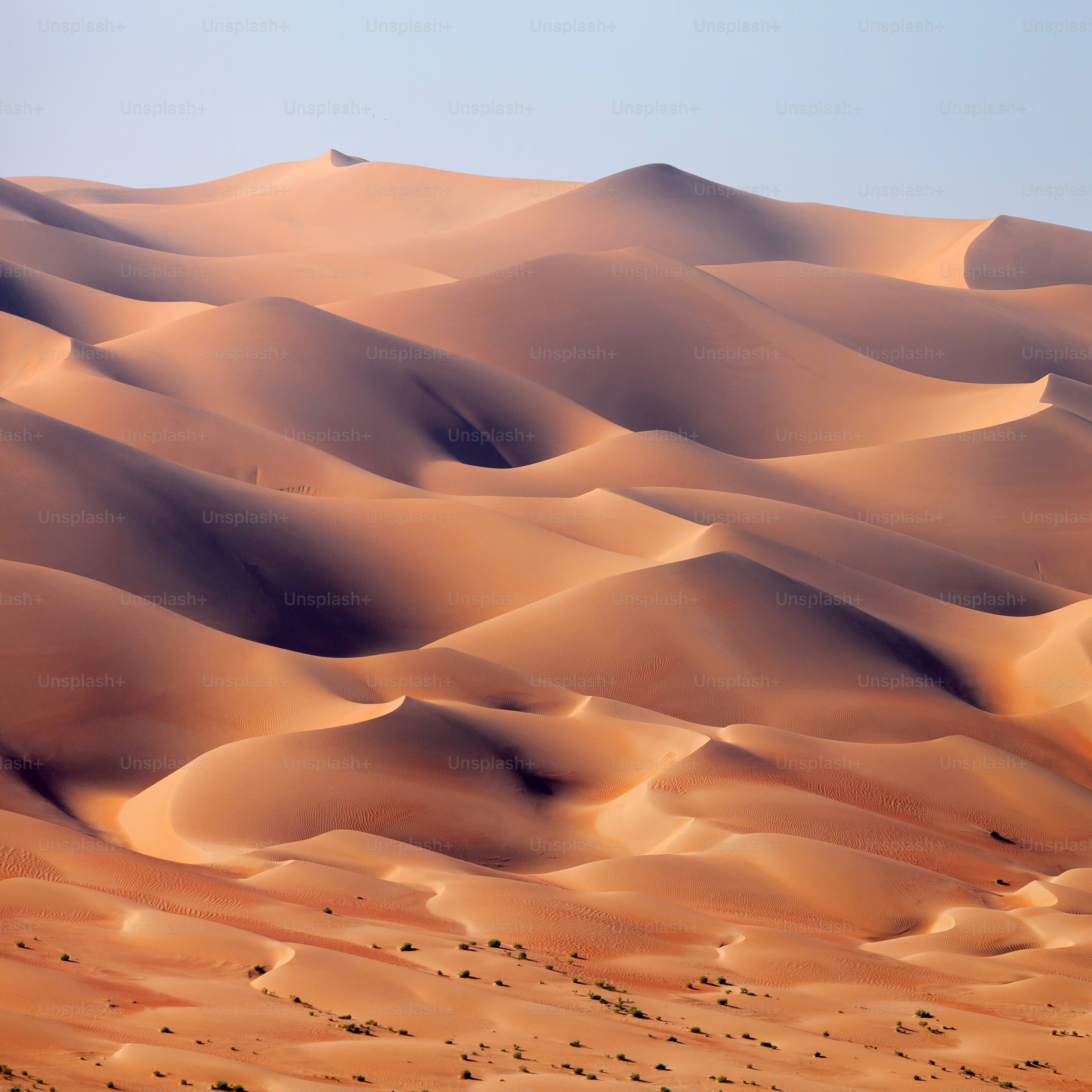 Pintoresco paisaje desértico en los Emiratos Árabes Unidos, majestuosas dunas de arena. Foto de alta resolución.