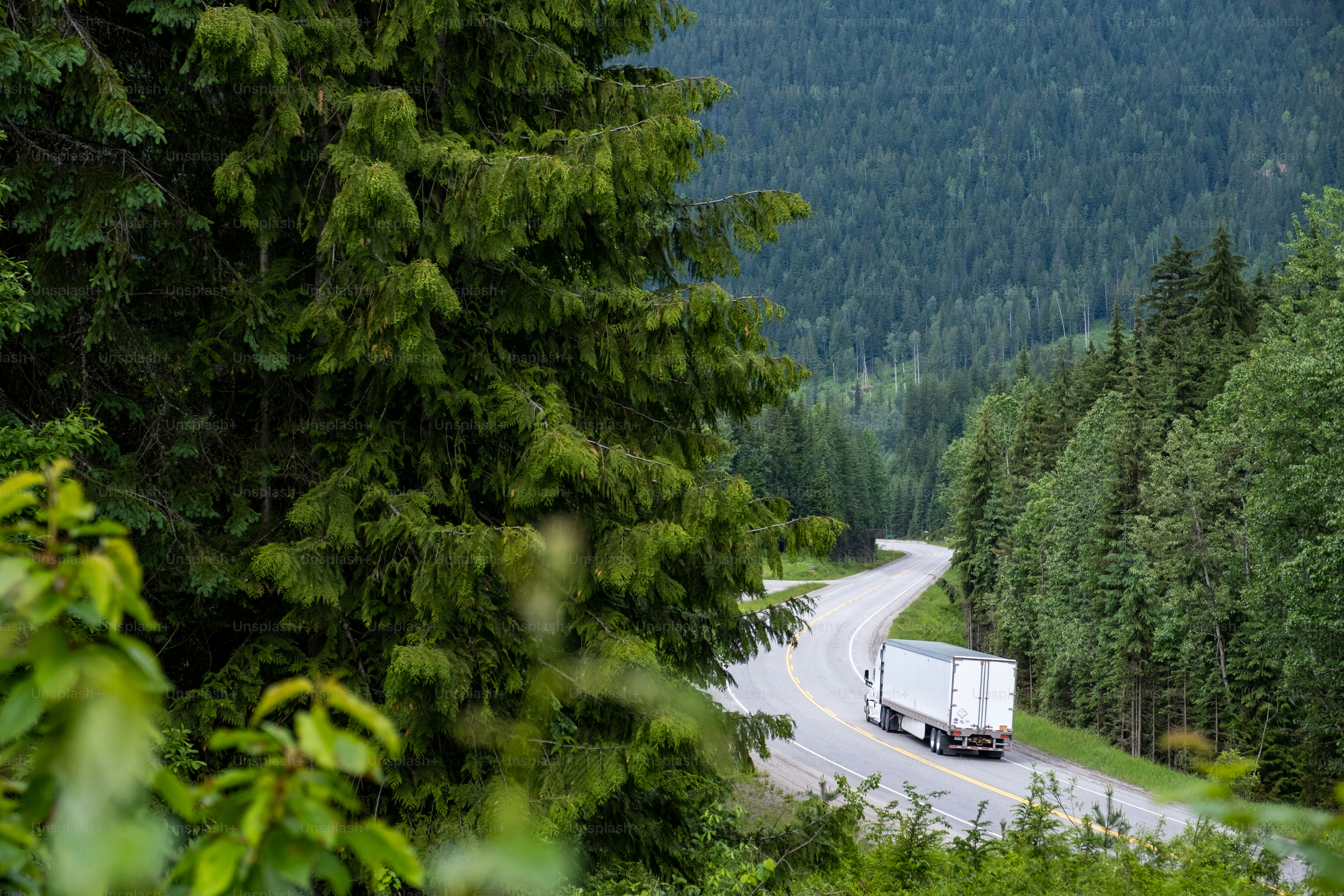 Grande camion portacontainer che percorre un'autostrada. Foreste lussureggianti durante la guida lungo la Trans Canadian Highway nella Columbia Britannica, Canada.