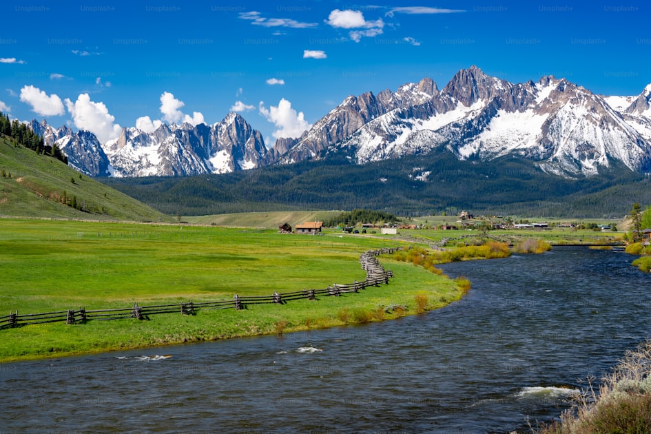Rugged Idaho mountain wilderness with dense timber and rocky ridgelines under a blue sky