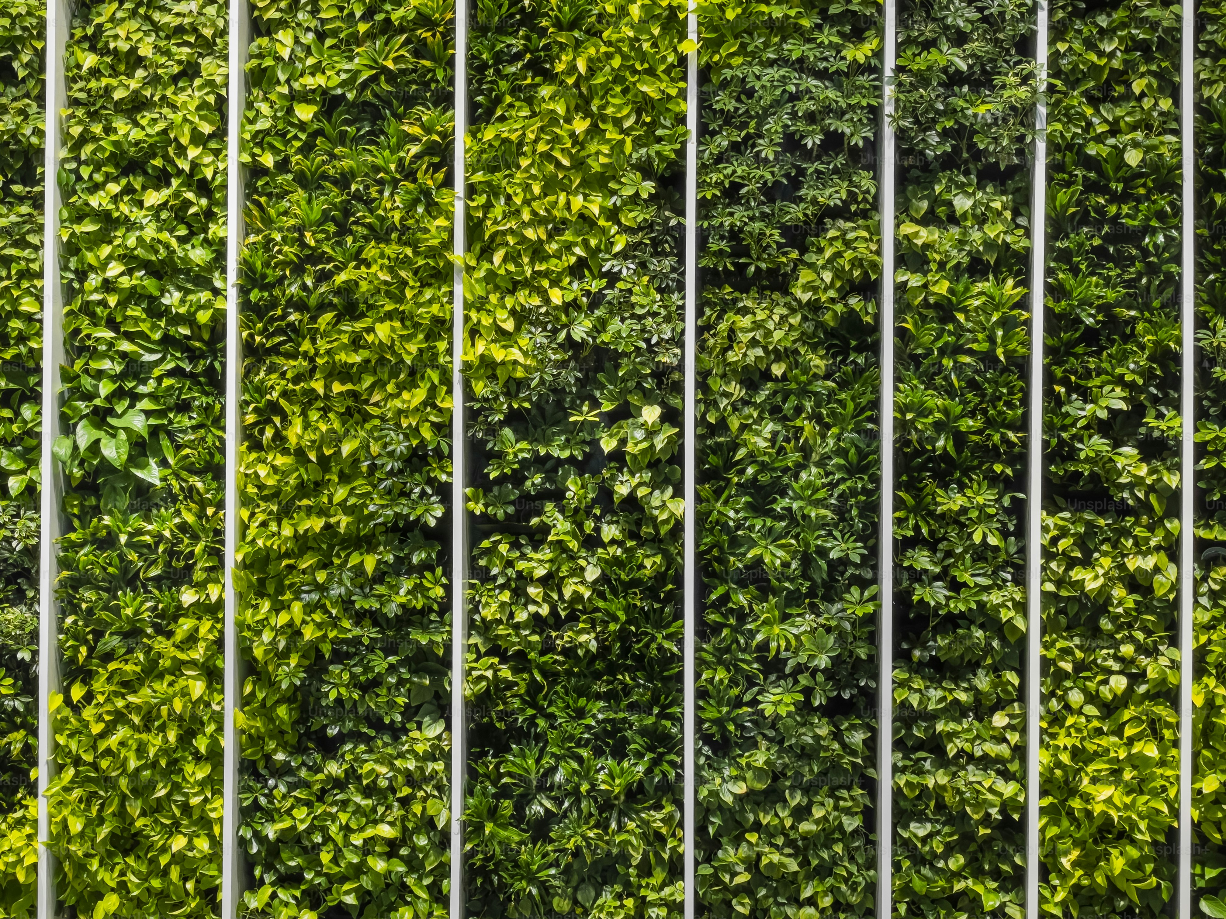 緑の植物の壁がある企業ロビー。