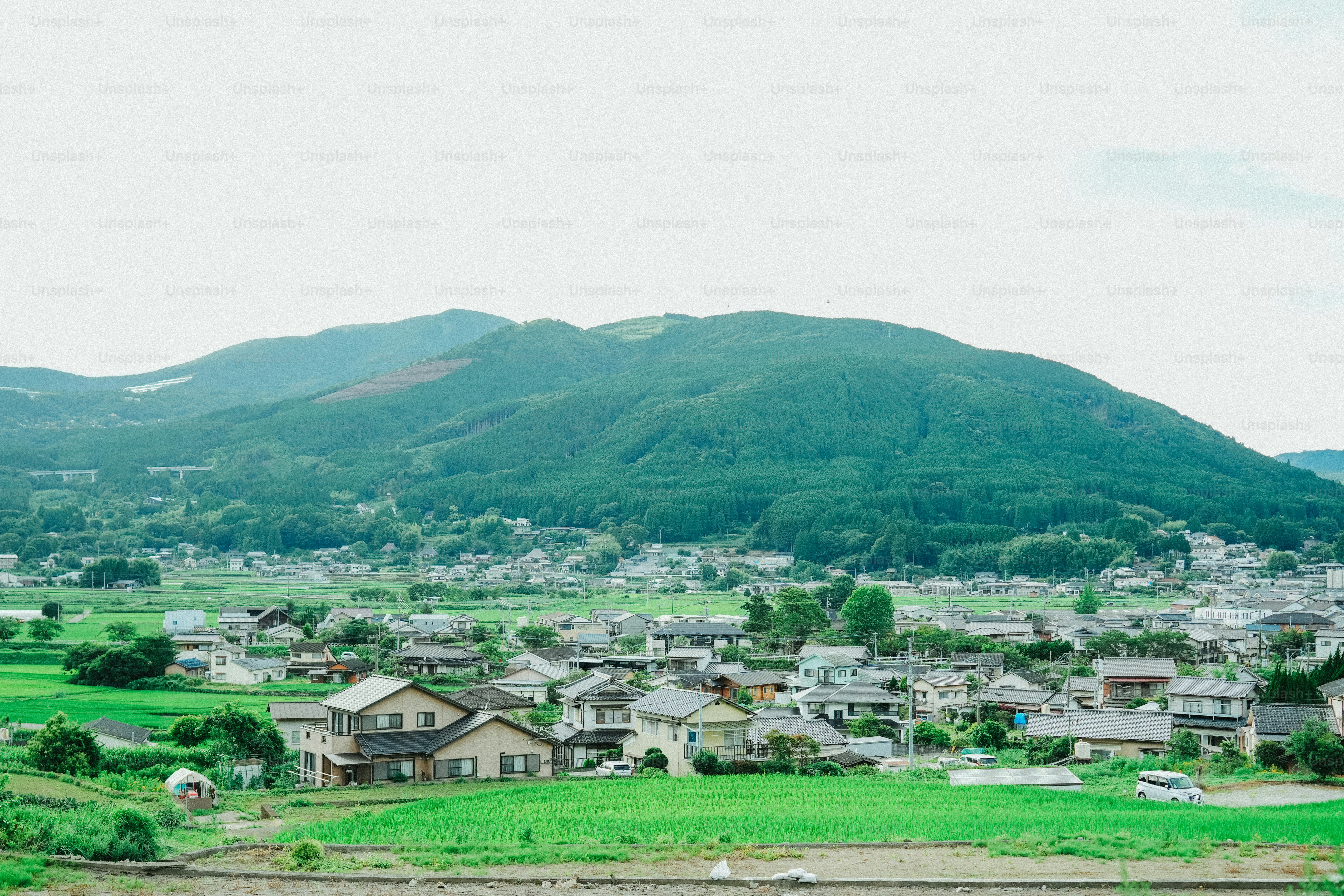 Die Ruhe einer ländlichen Landschaft mit grünen Reisfeldern und traditionellen japanischen Häusern. Die fernen bewaldeten Hügel und der klare Himmel rufen ein Gefühl von Harmonie, Frieden und der Schönheit der Natur hervor.