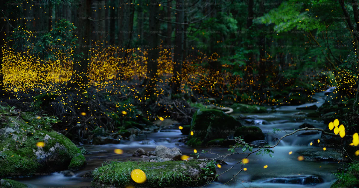Fireflies glowing above a river in the forest at night in rural Japan ...