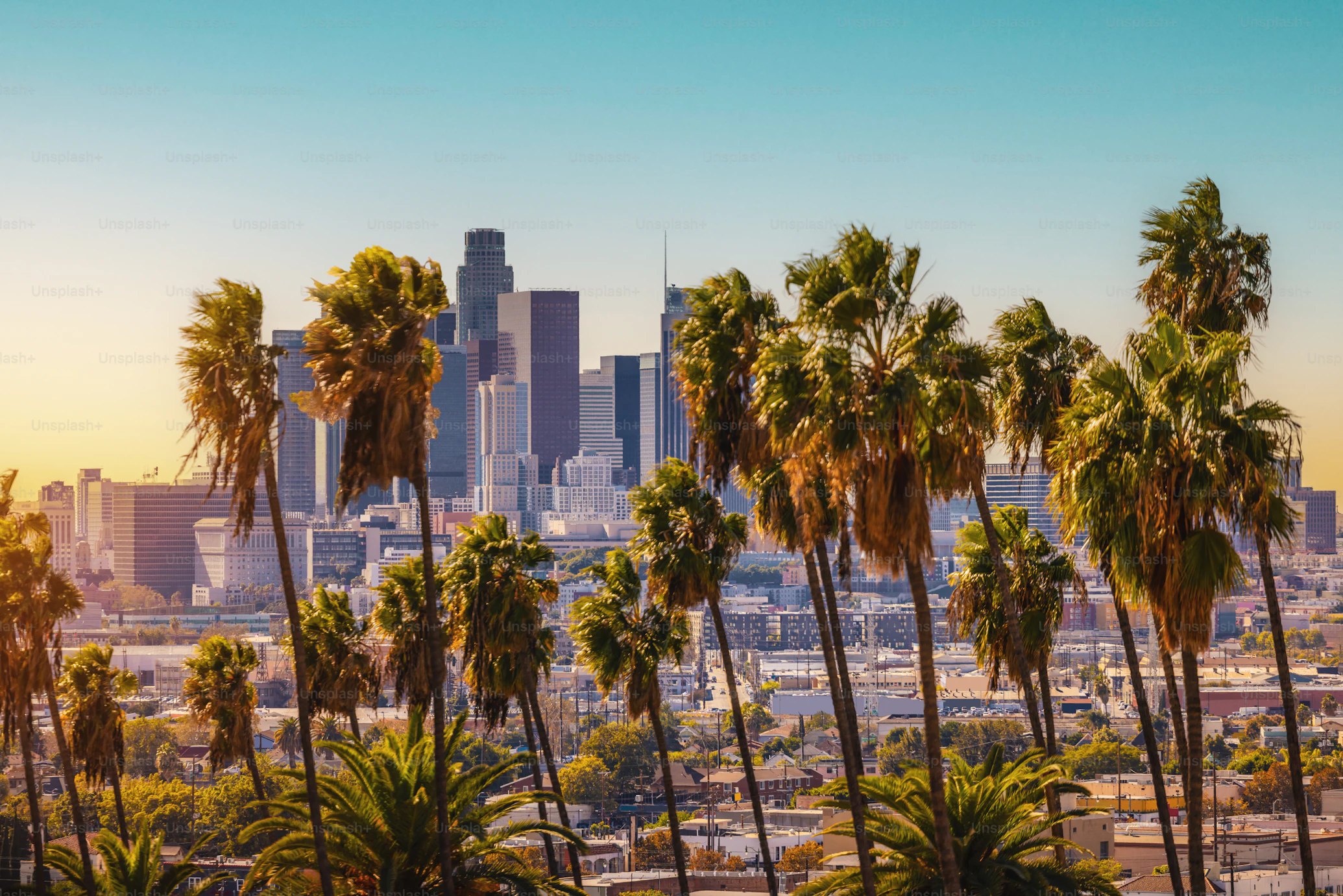 Los Angeles palm trees at sunset
