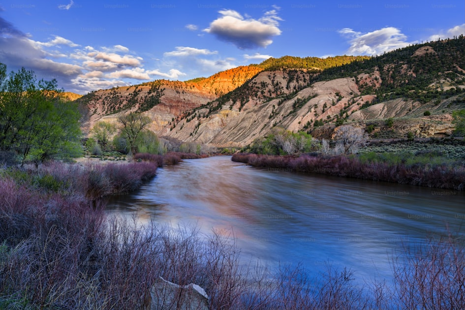 Montana Bitterroot Valley with forested slopes and mountain backdrop