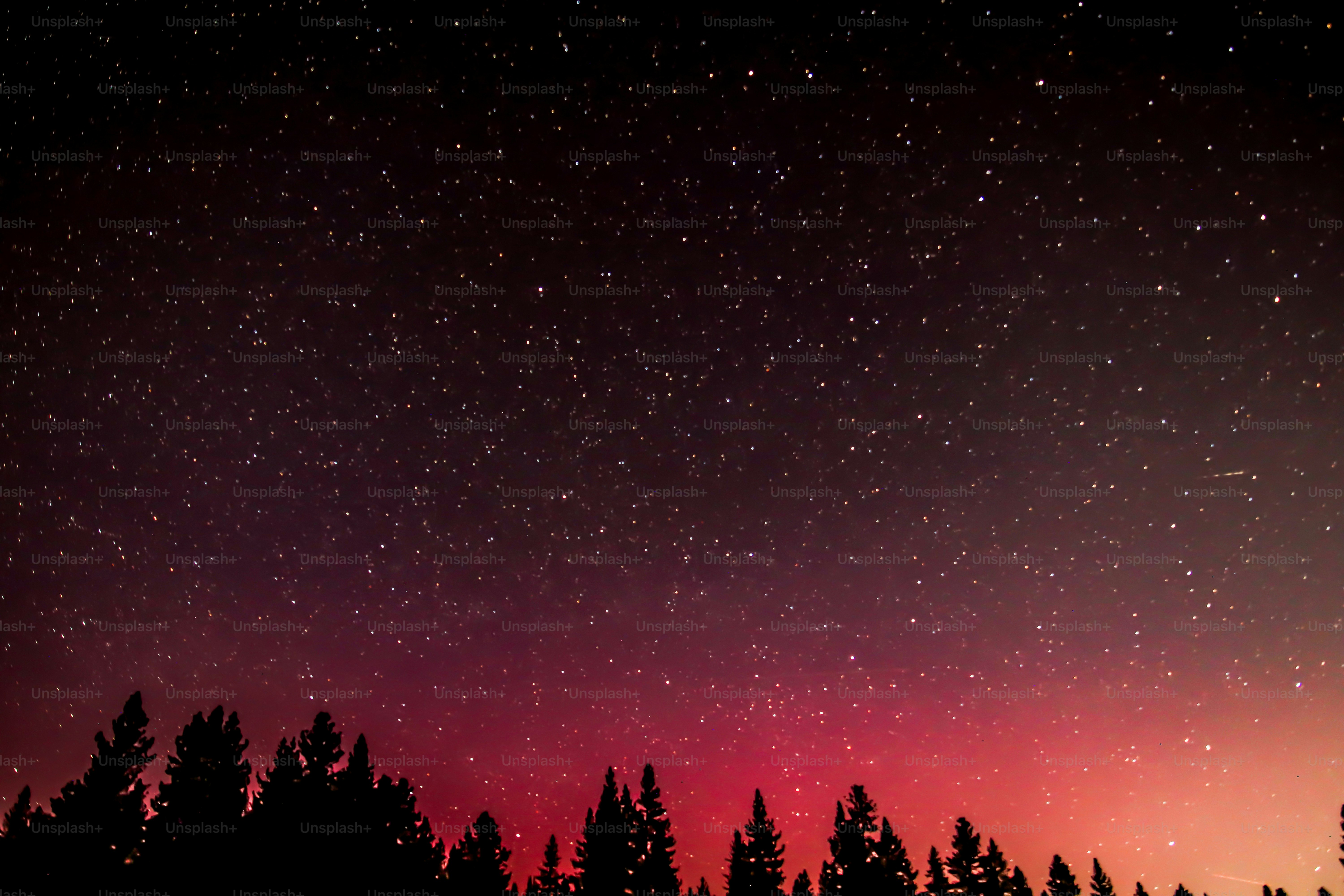 オーロラ - 星 - 北カリフォルニア - タホ国有林 - 2024年5月