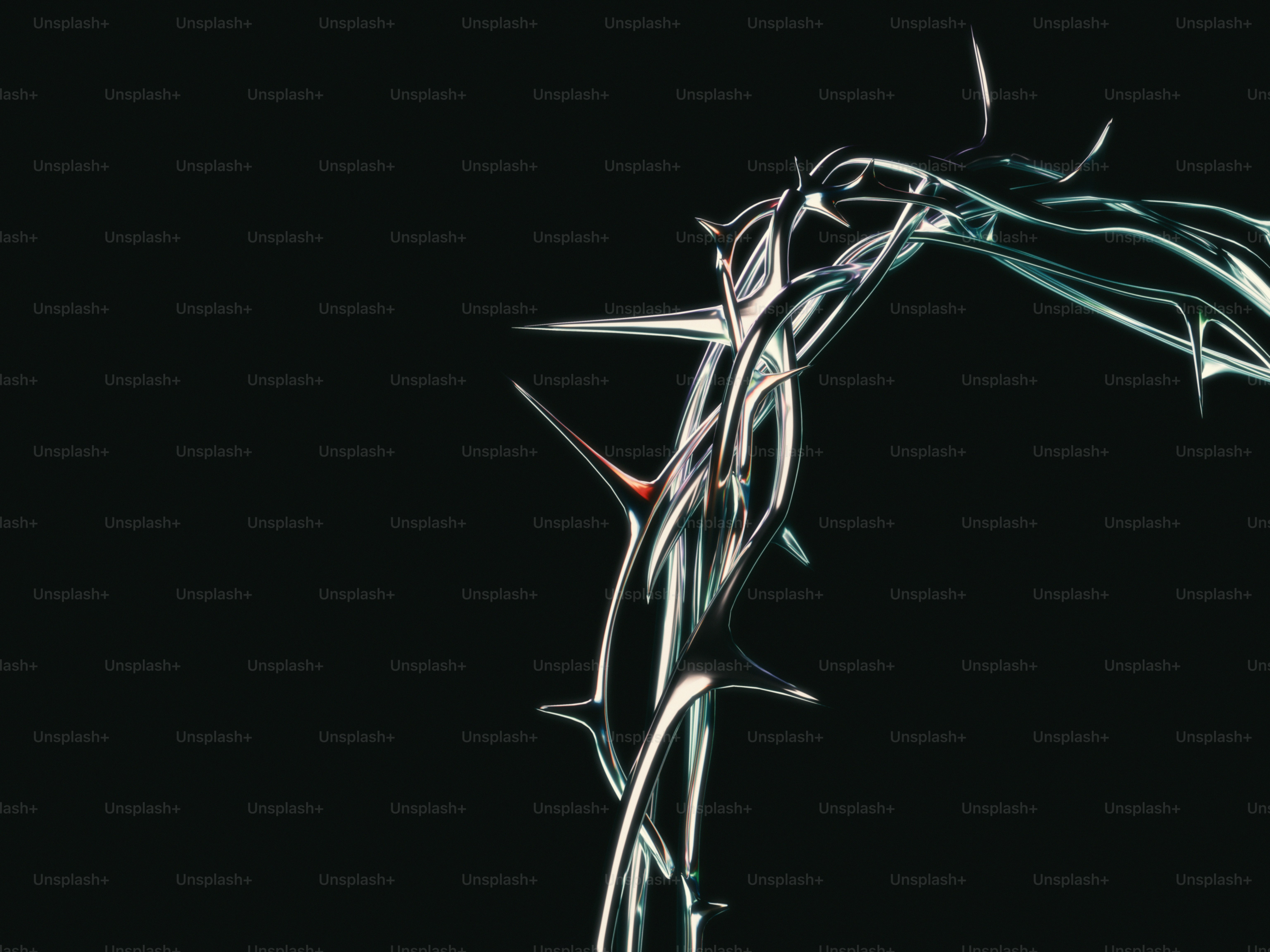 A black and white photo of a plant