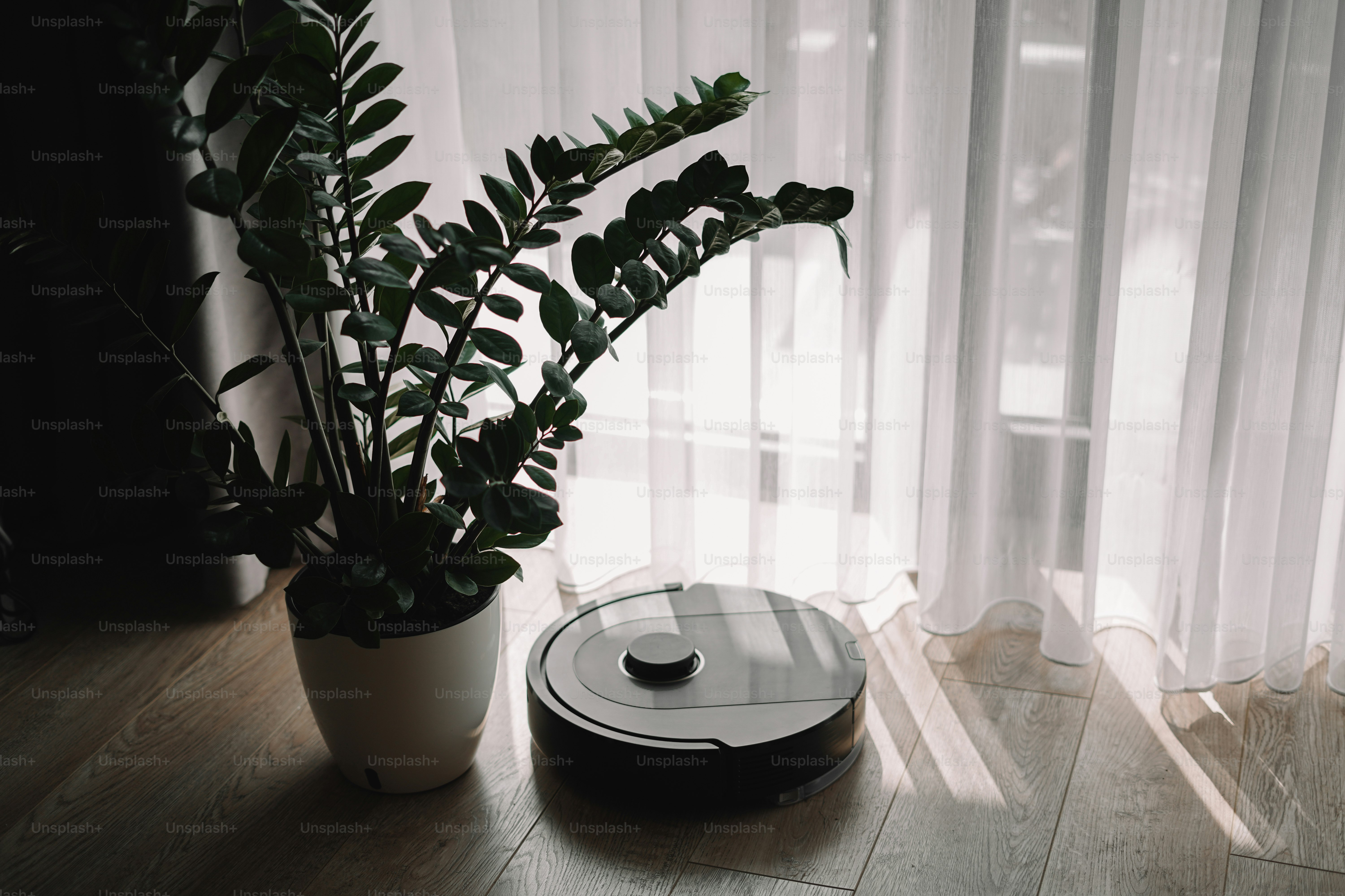 A roomba is sitting on the floor next to a potted plant