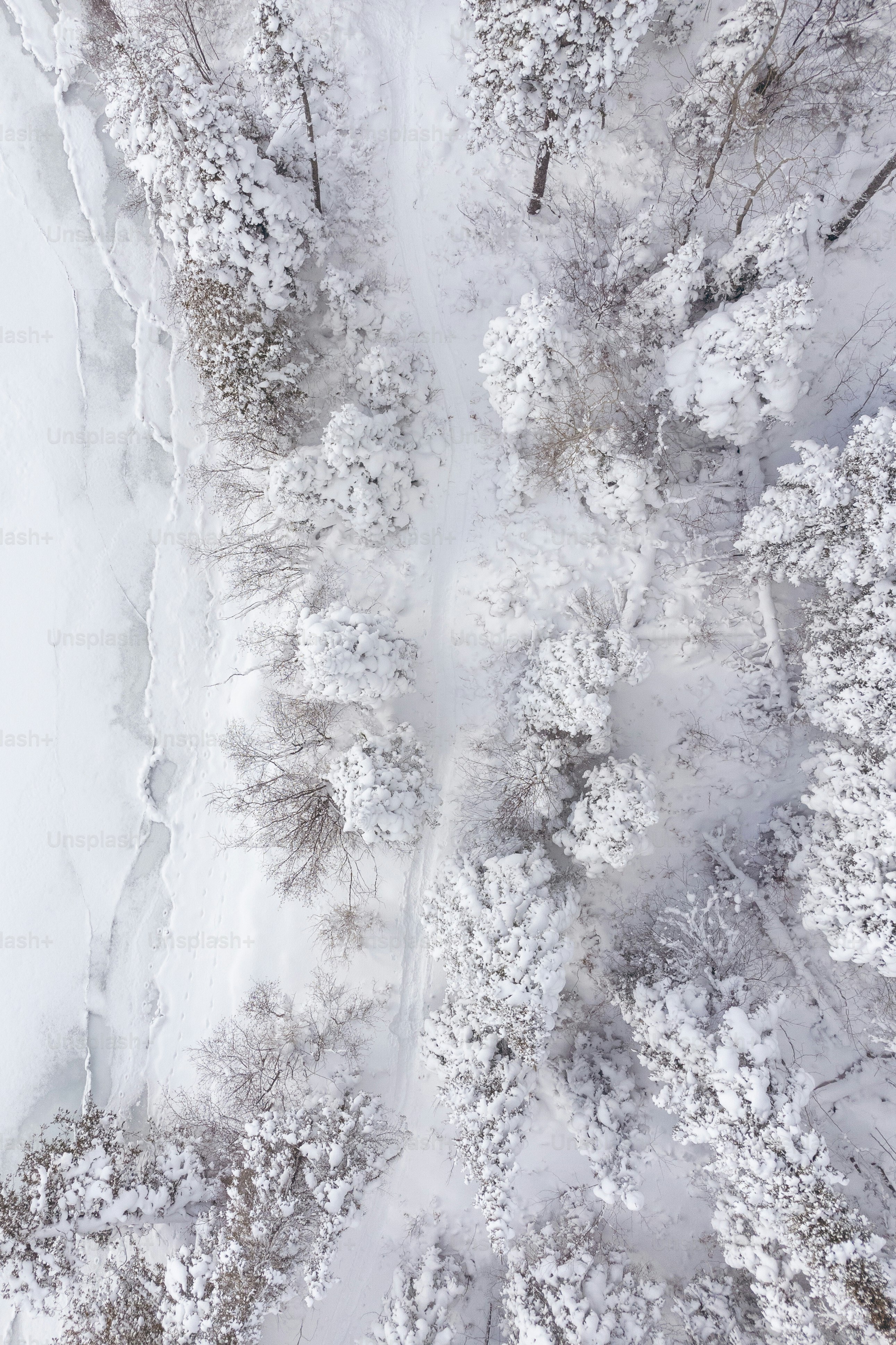 An aerial view of a snow covered forest