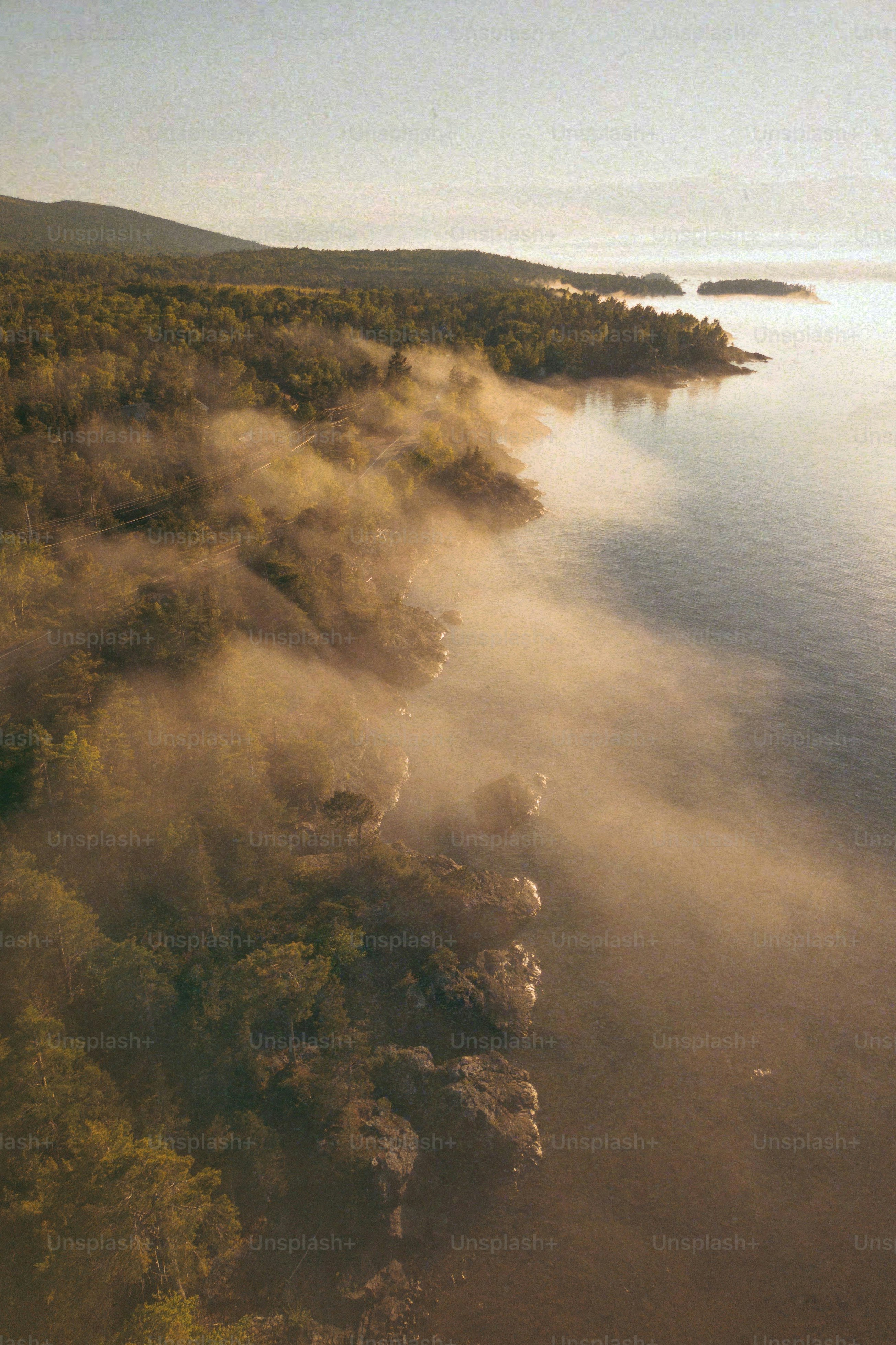An aerial view of a body of water surrounded by trees