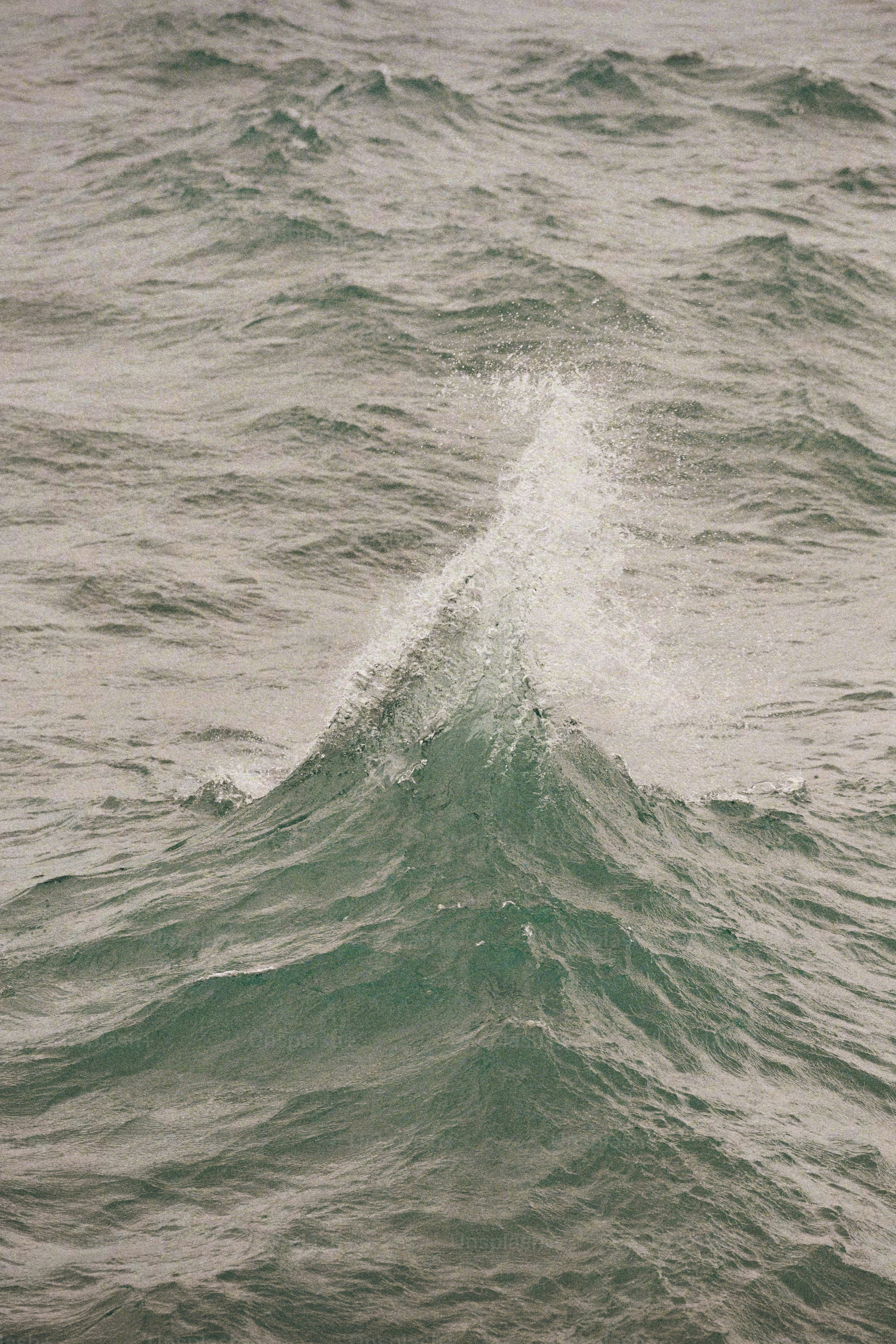 A person riding a surfboard on a wave in the ocean