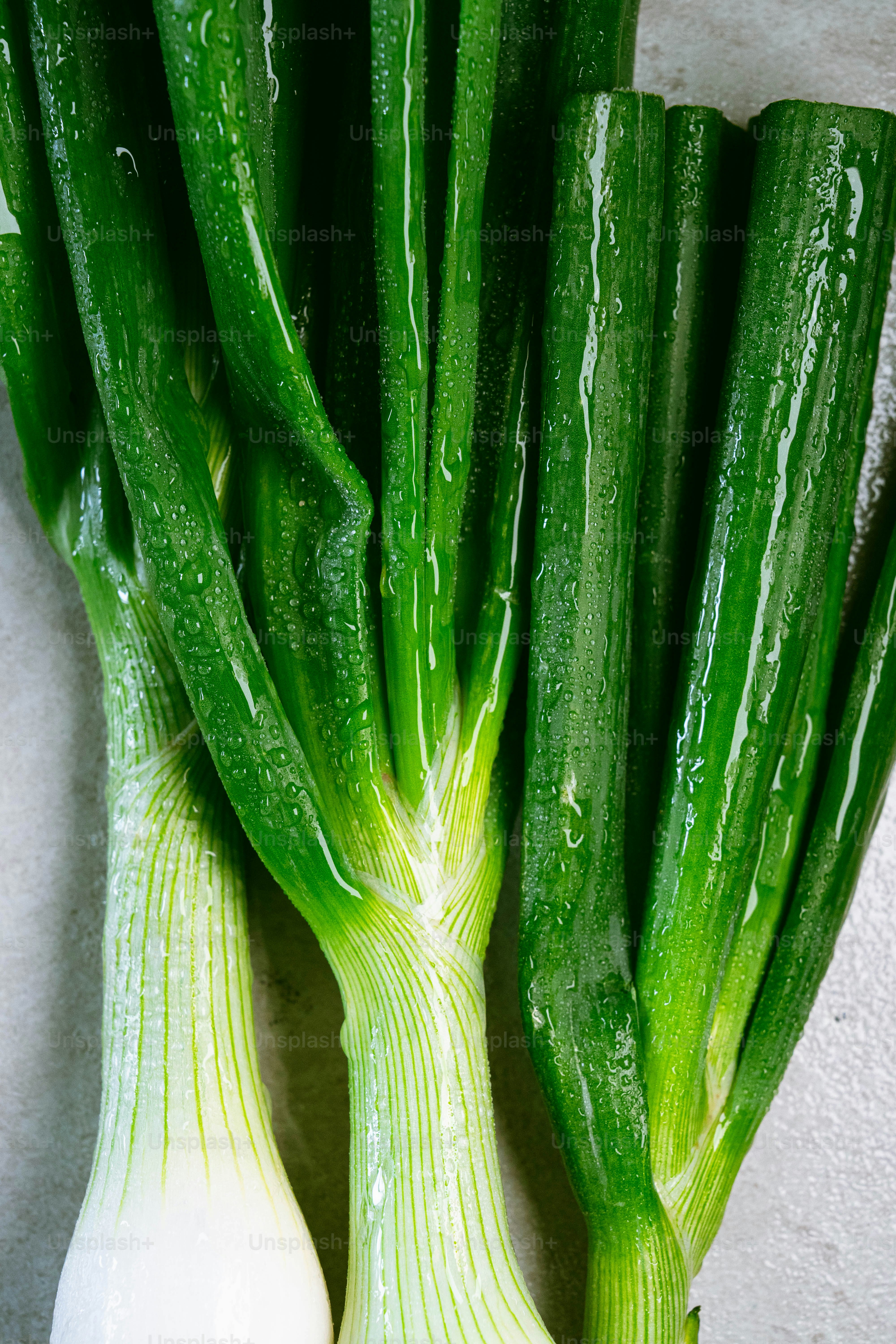 A bunch of green onions sitting on top of a counter