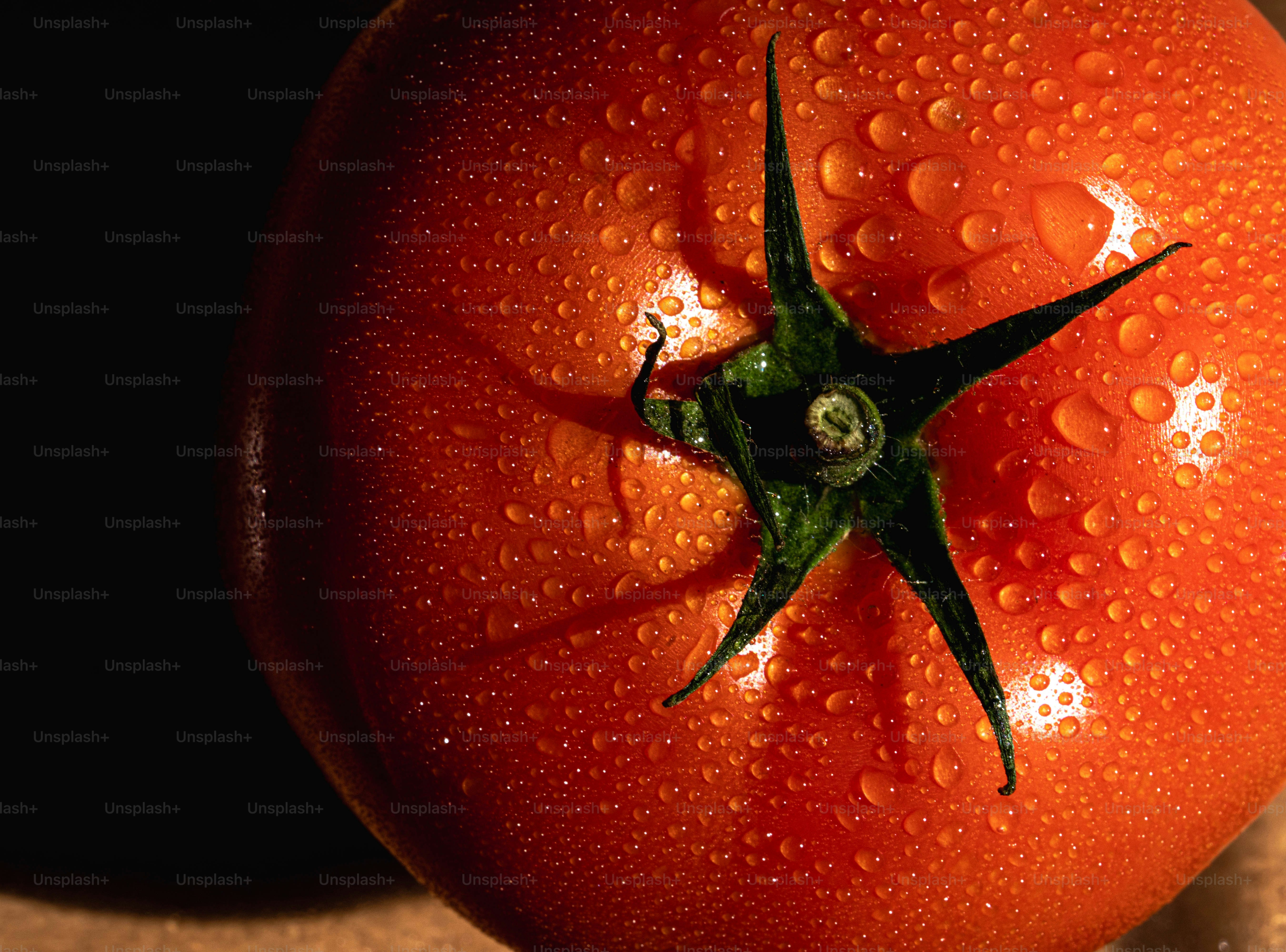 A close up of a tomato with water droplets on it photo – Close up food ...