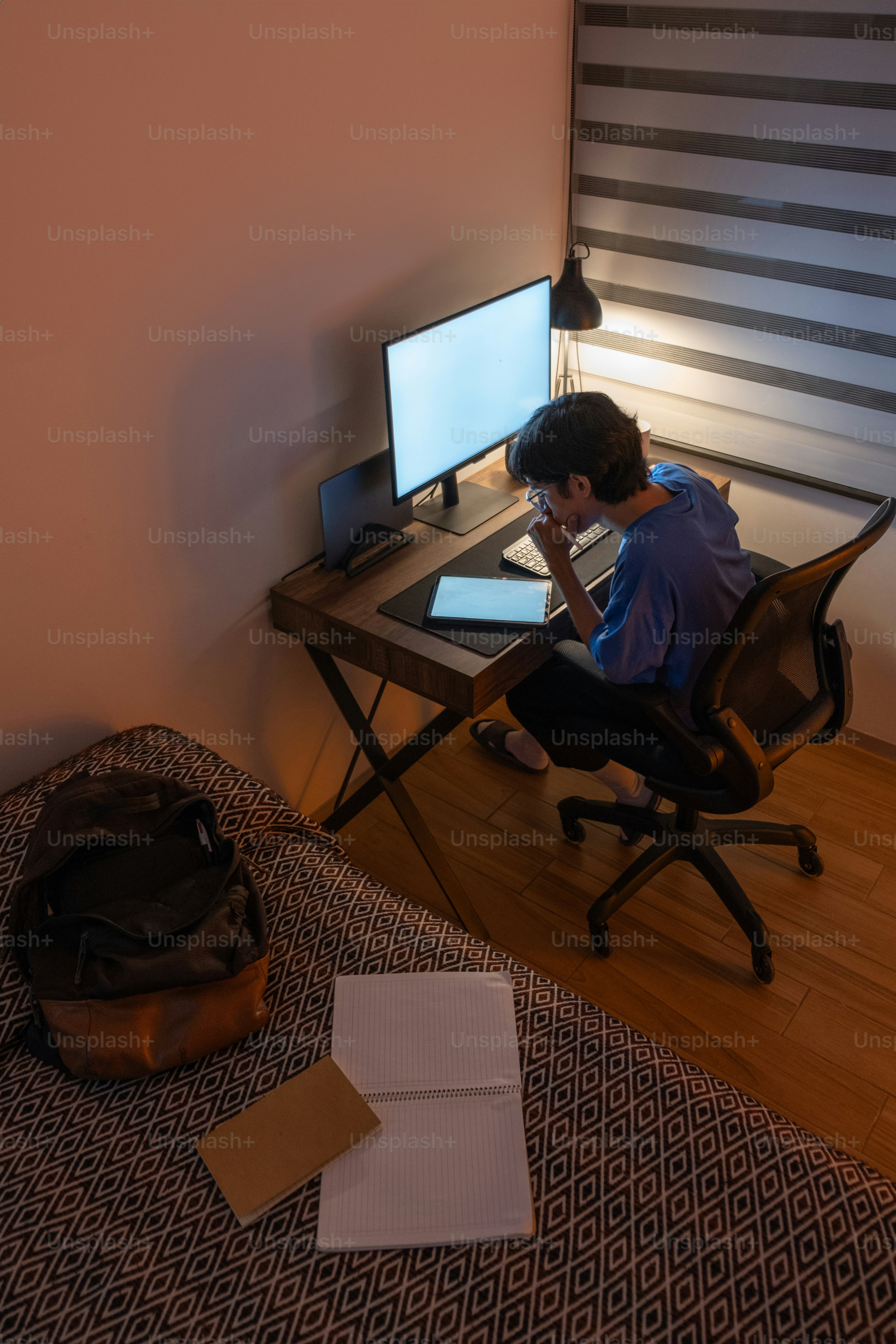 A person sitting at a desk in front of a computer