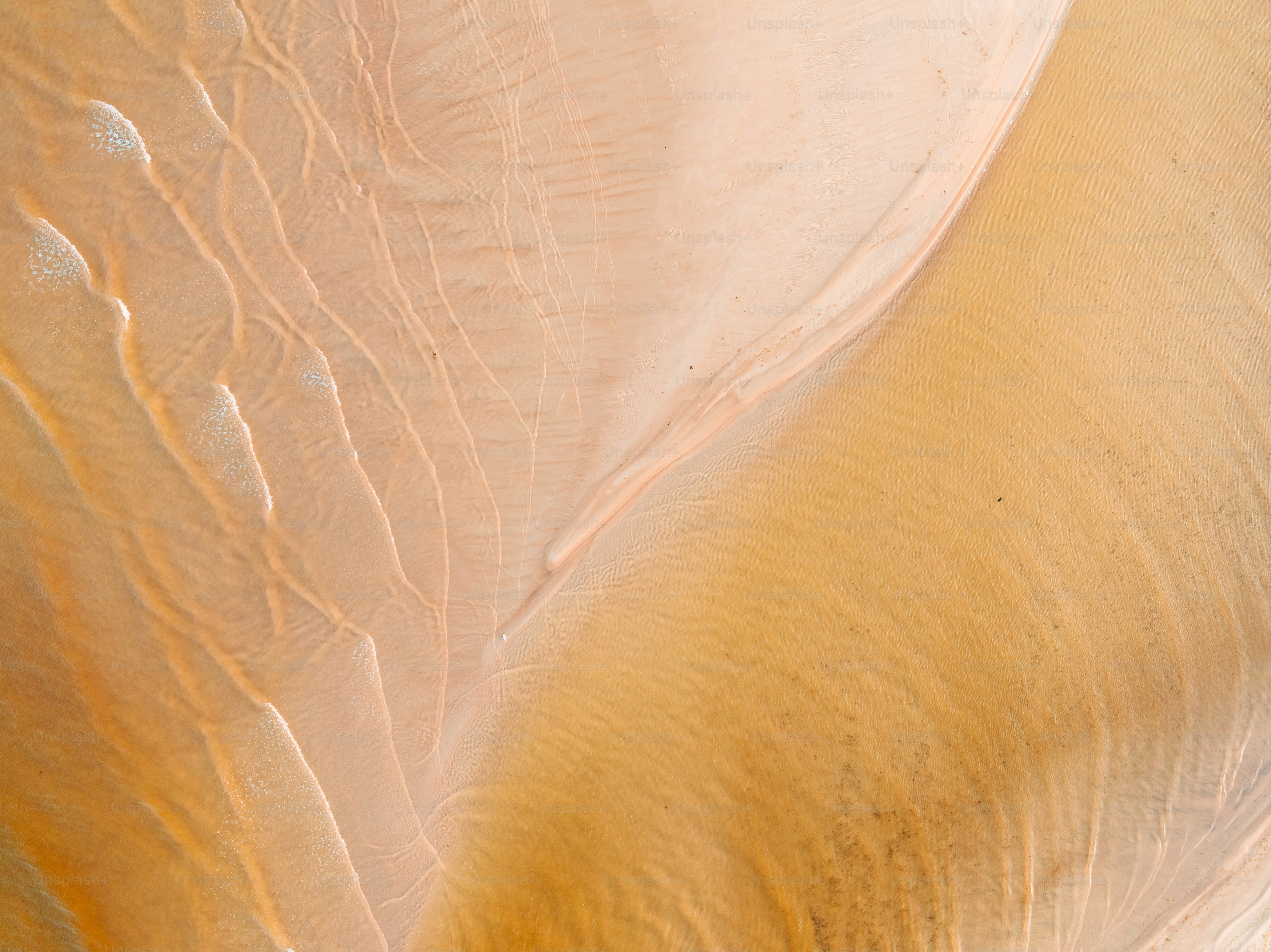 A close up view of a feather's tail