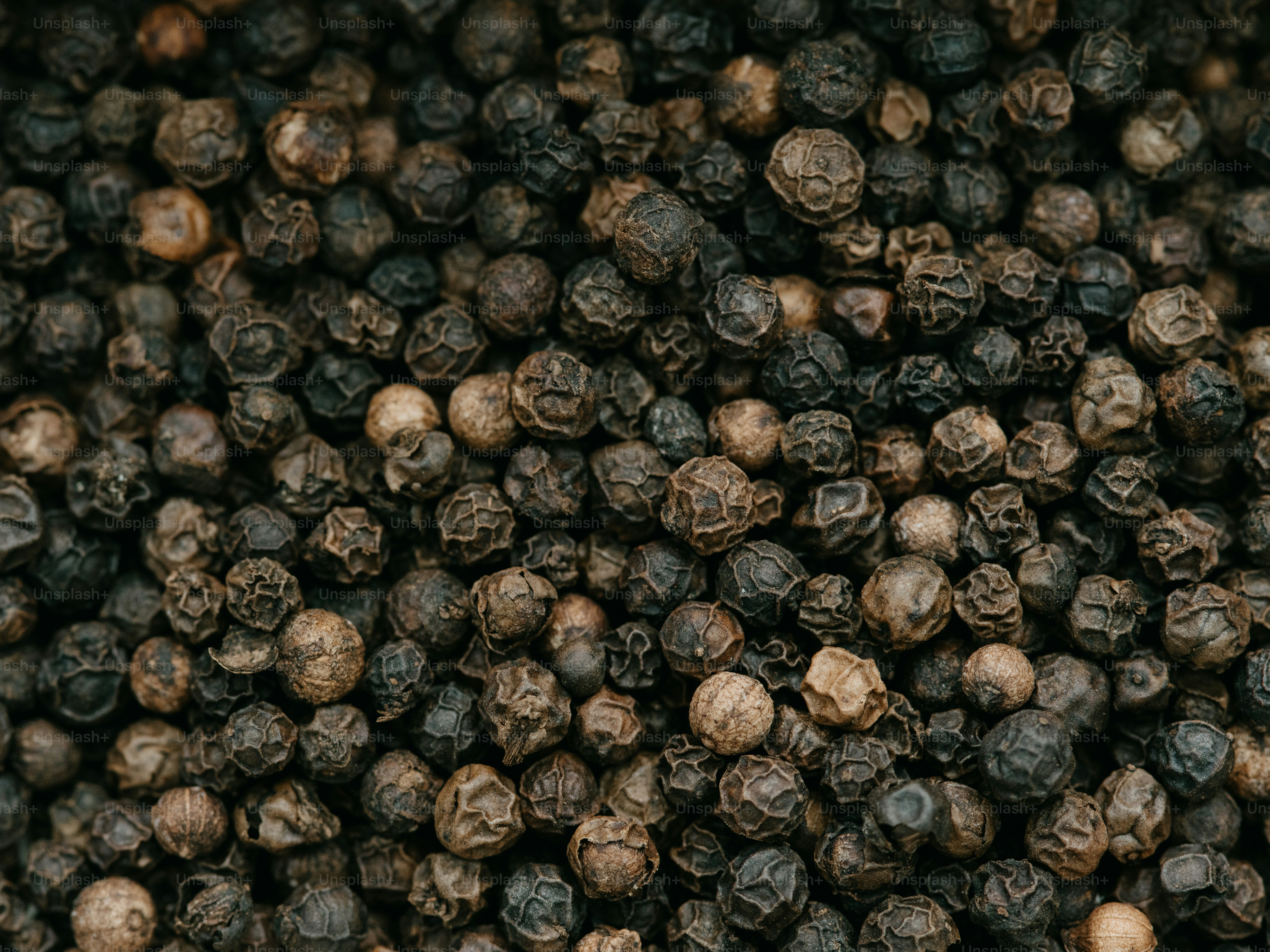 premium_photo-1725878606509-65c1ff545b74?ixid=M3wxMjA3fDB8MXxzZWFyY2h8MTN8fGZyZXNoJTIwYmxhY2slMjB0cnVmZmxlcyUyMG1lbGFub3Nwb3J1bSUyMHNoYXZpbmdzfGVufDB8fHx8MTcyOTYxNDE3MHww\u0026ixlib=rb-4.0.3