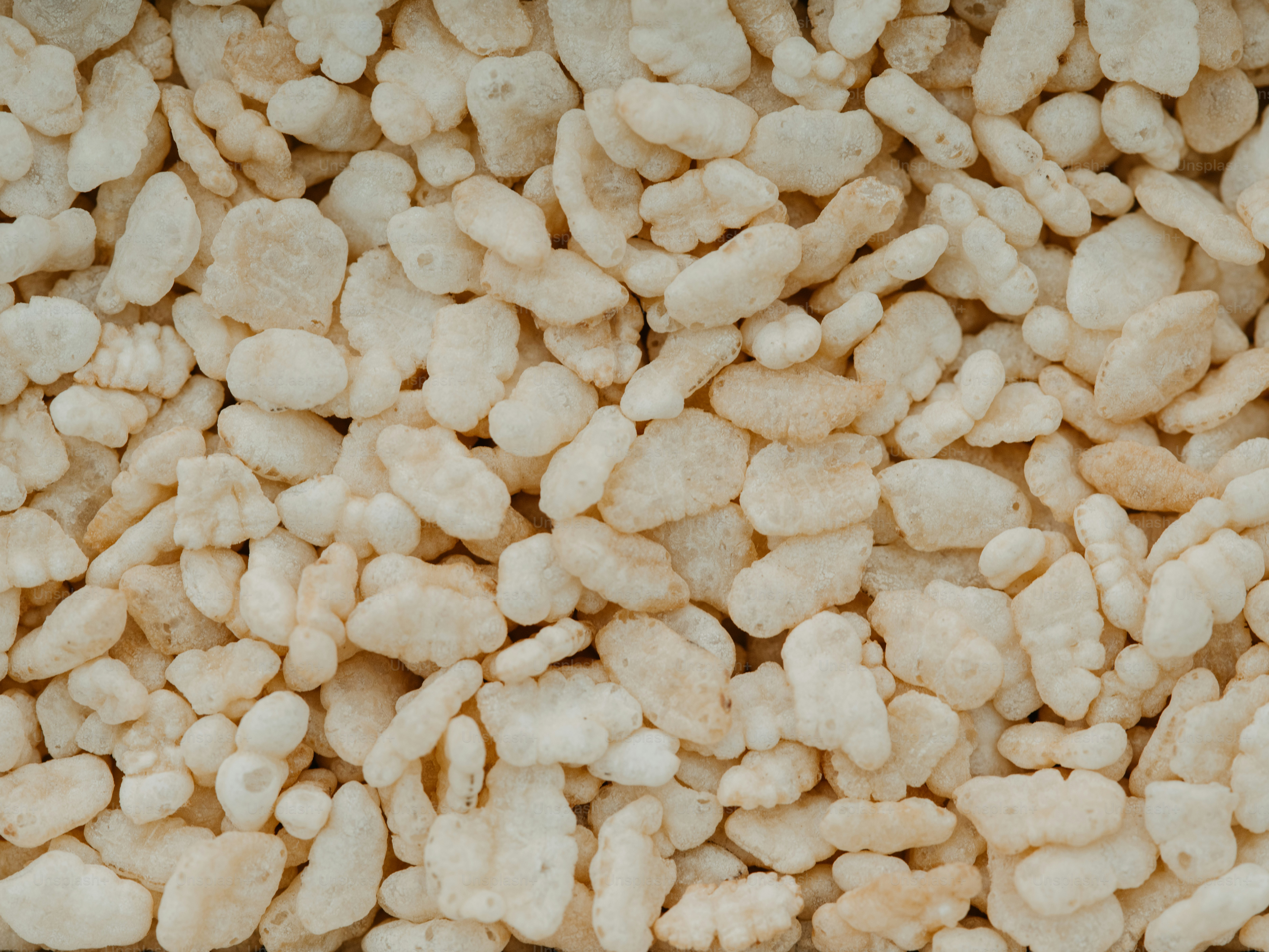 Un primer plano de un montón de comida