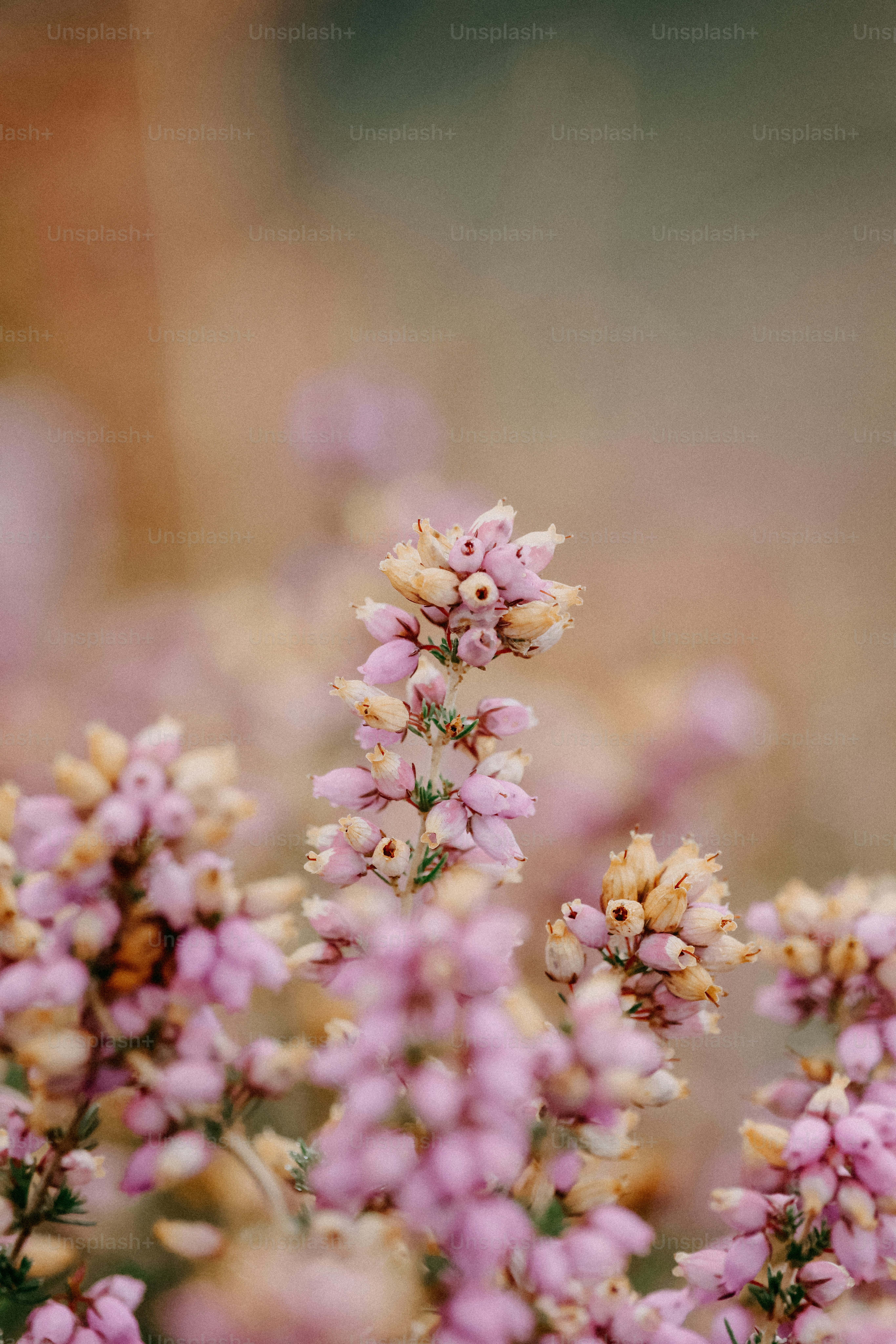 Ein Blumenstrauß, der im Gras liegt