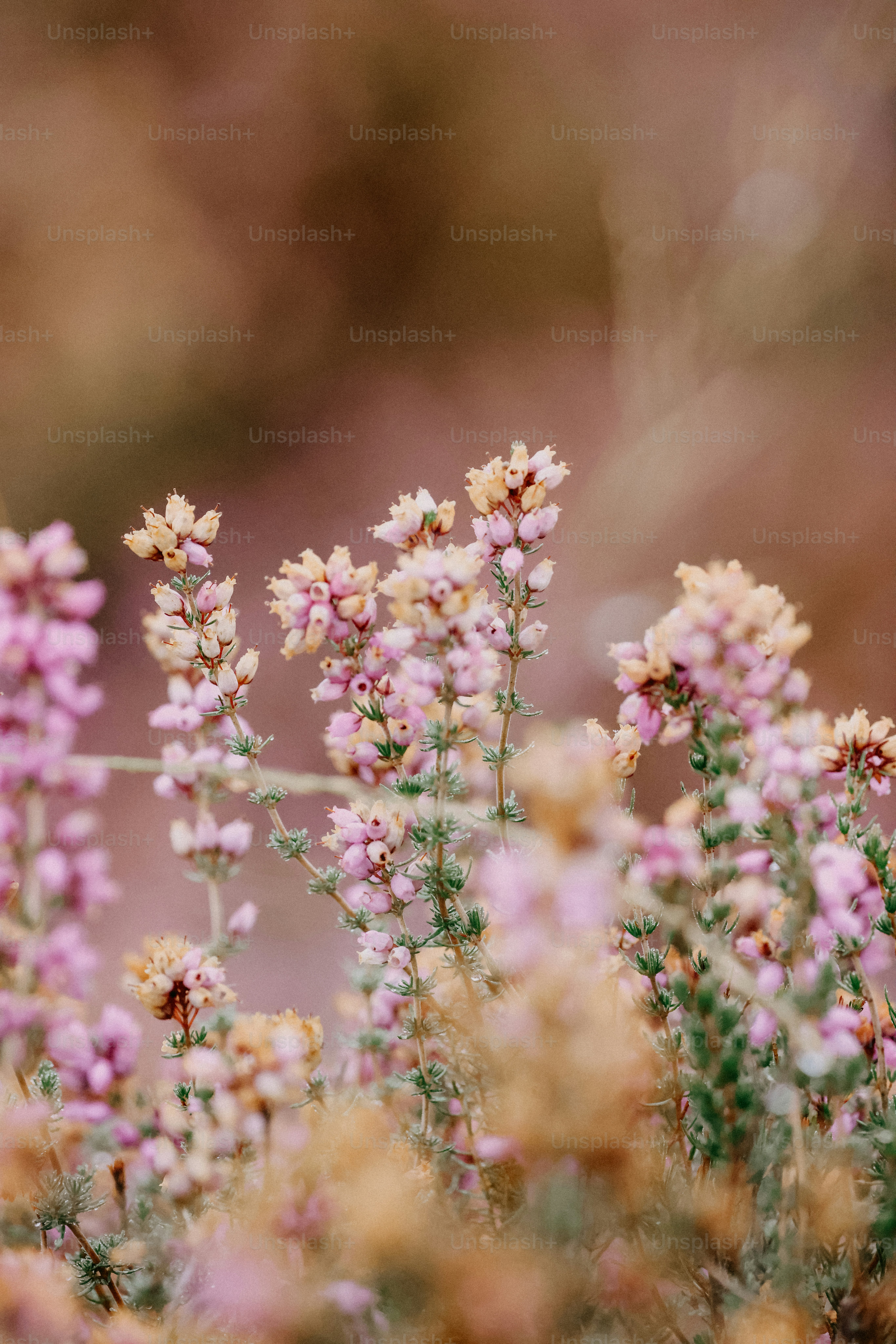 Ein Blumenstrauß, der im Gras liegt