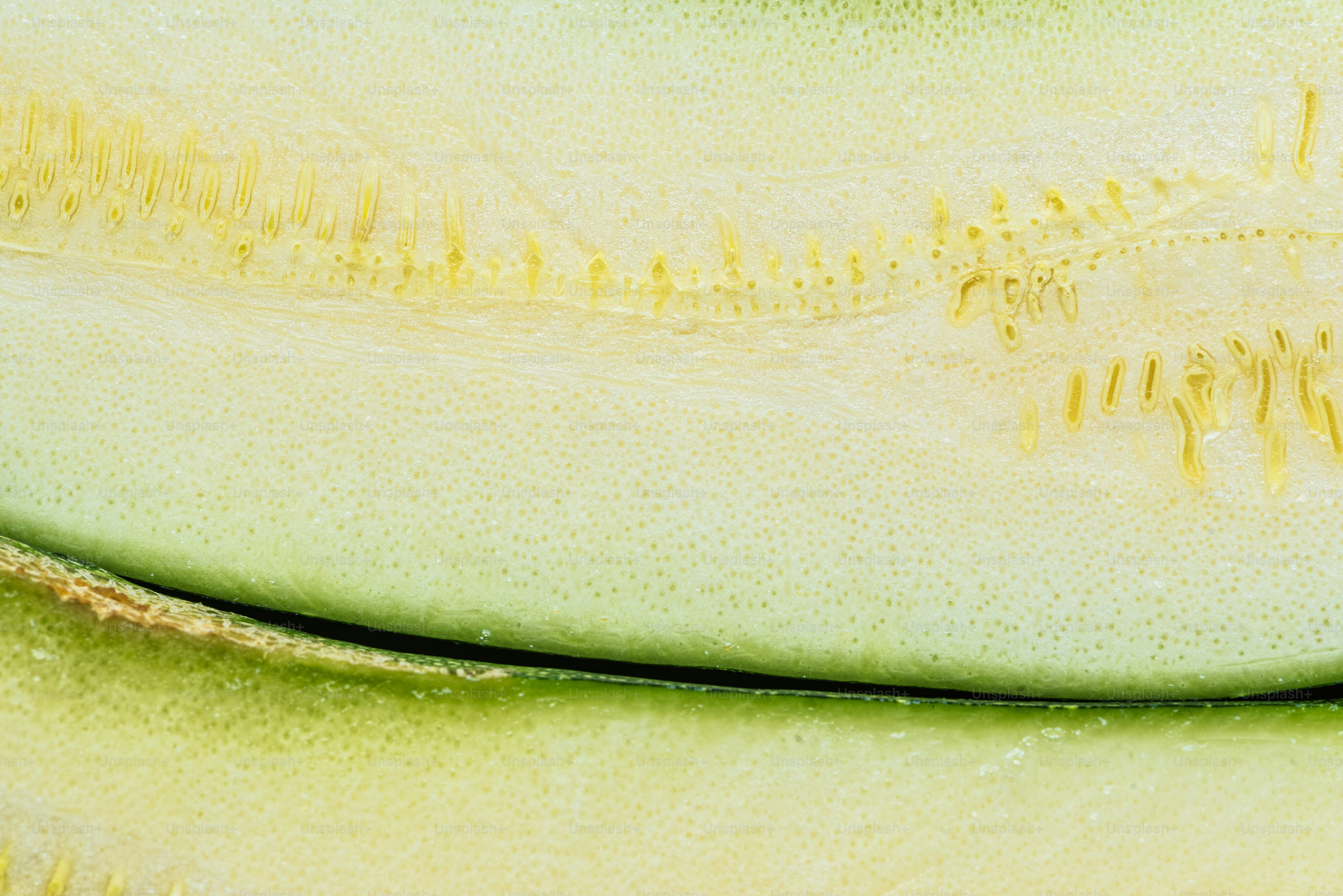 Un gros plan d’un concombre tranché avec des pointes jaunes