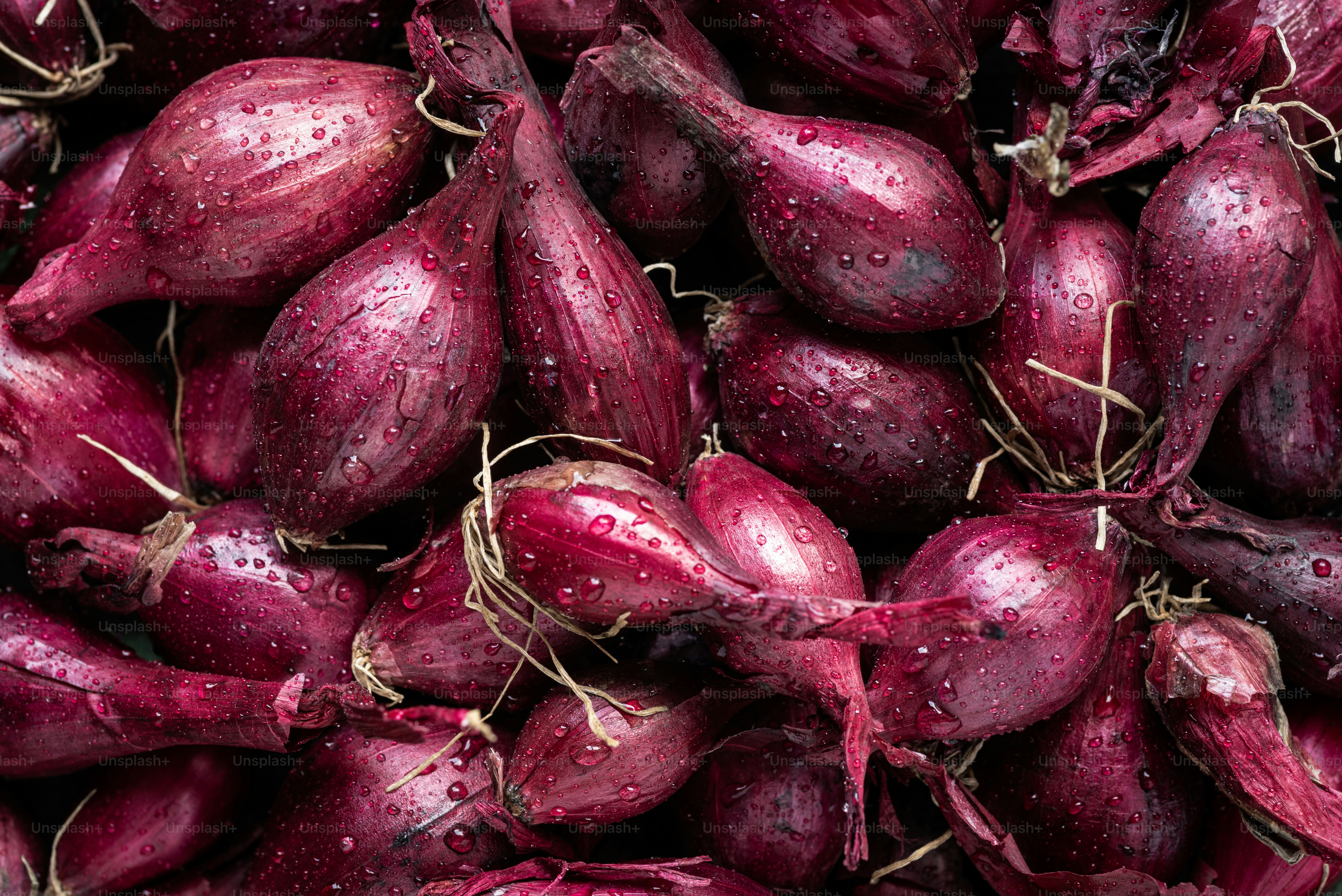 Uma pilha de berinjela roxa com gotas de água sobre eles