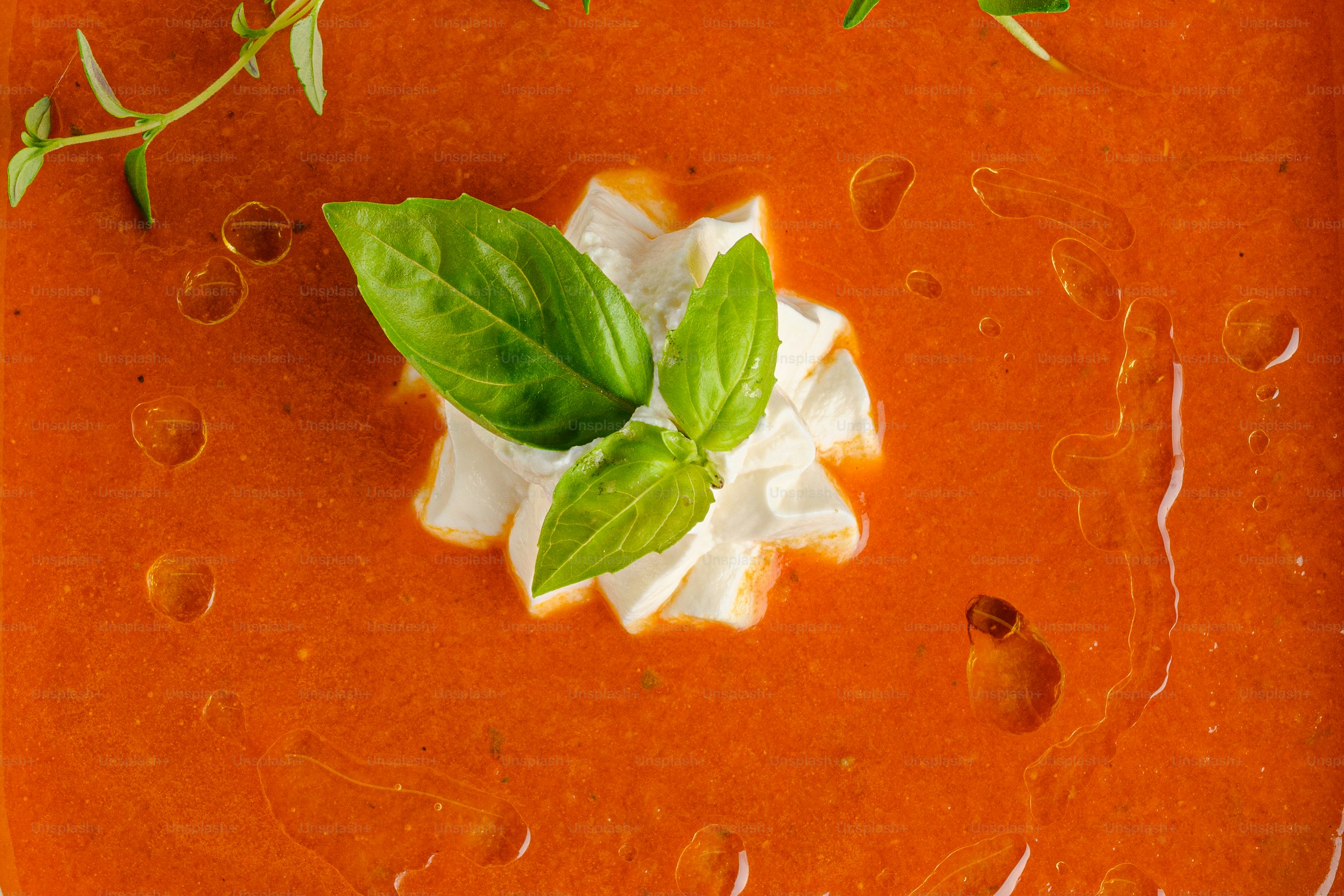 Nahaufnahme einer Schüssel Tomatensuppe