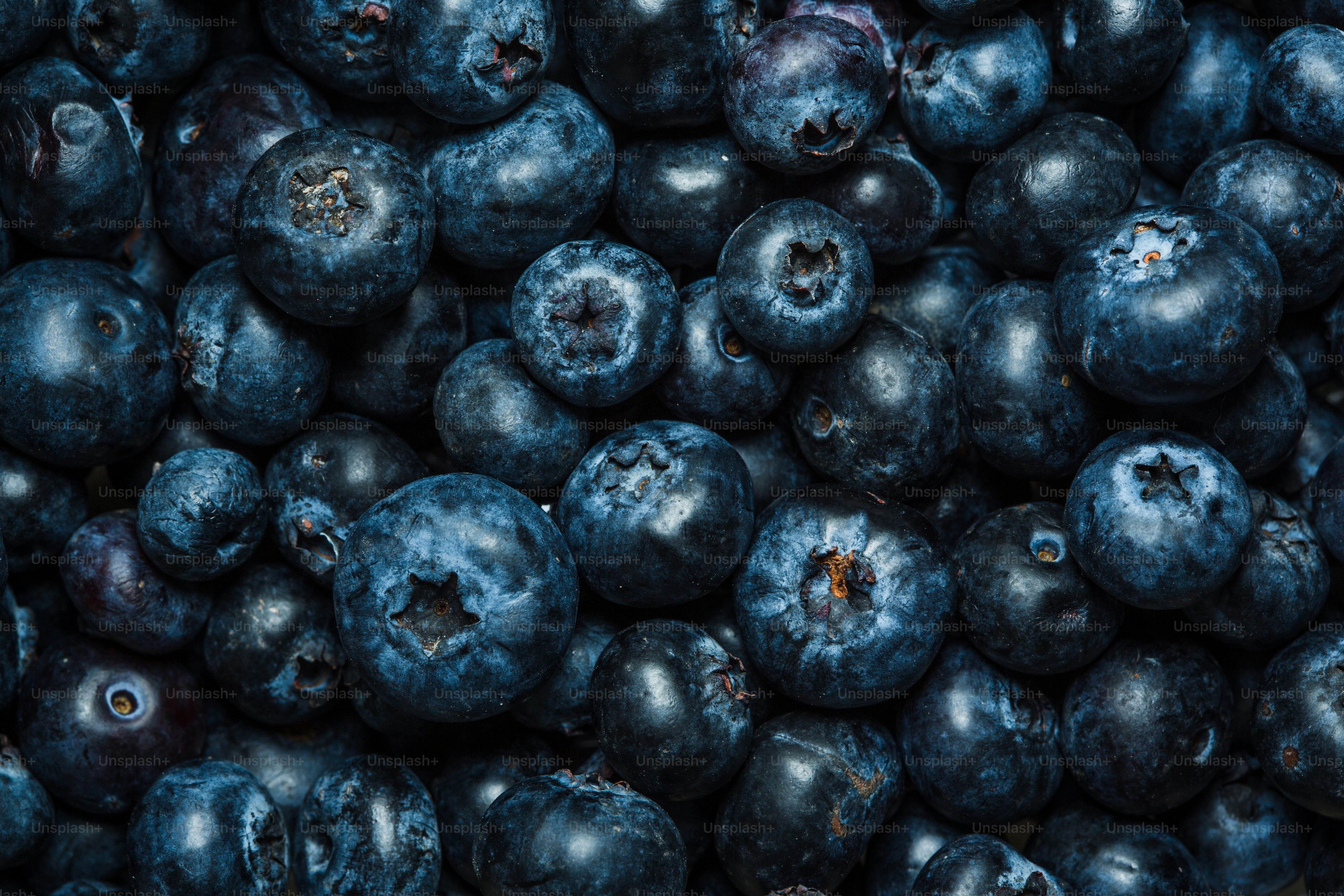 A pile of blueberries is shown in this image