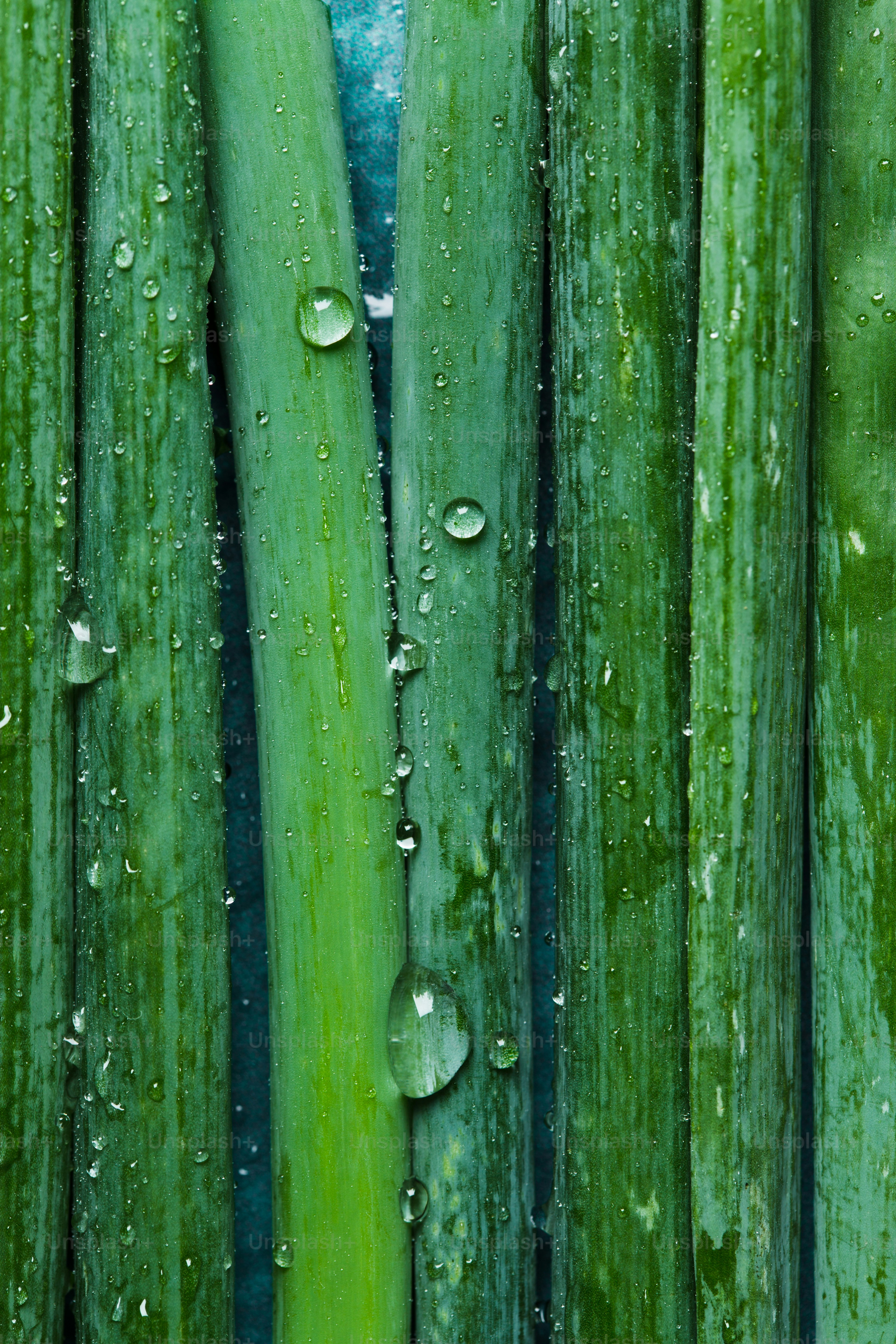A close up of a bunch of green vegetables