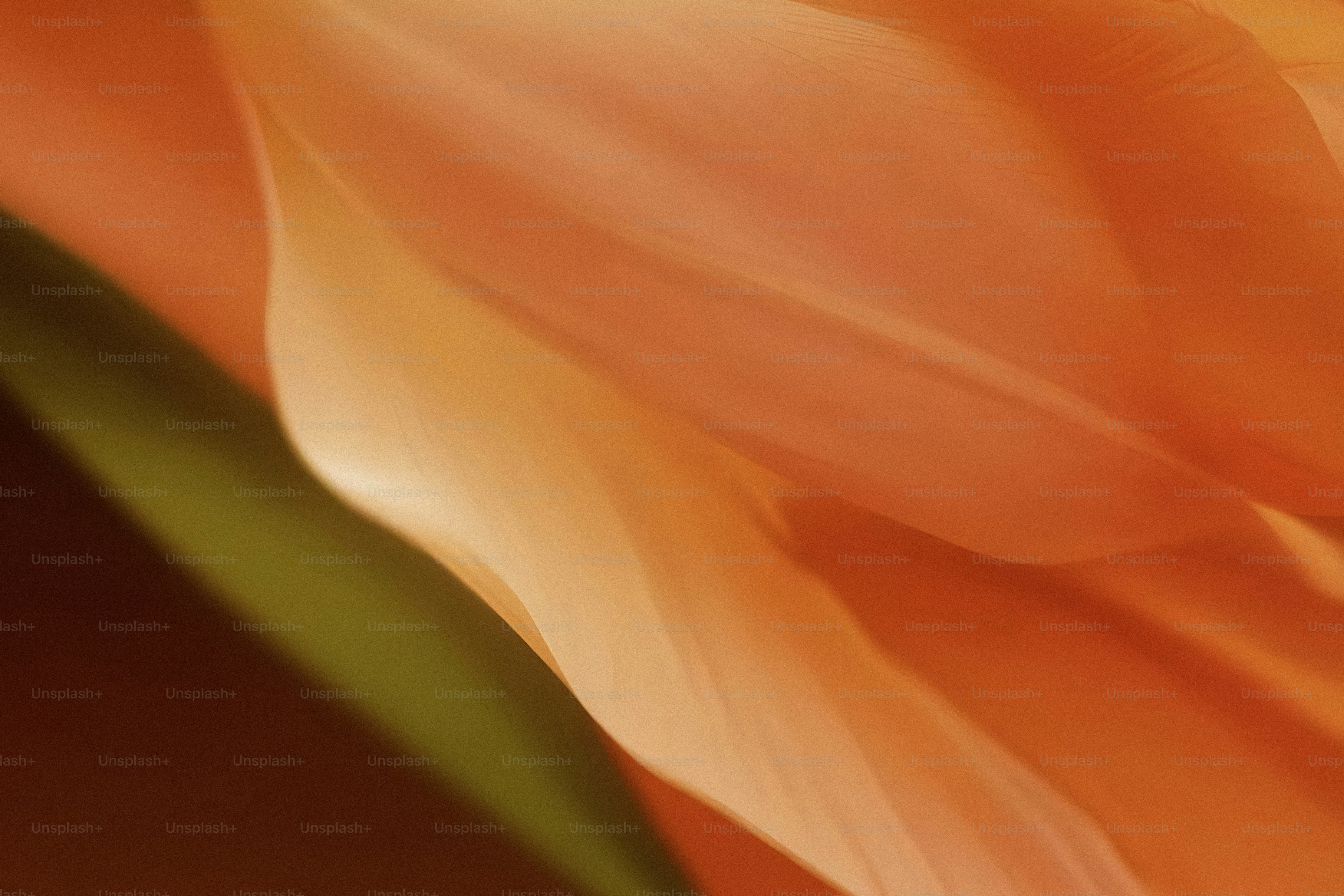 Um close up de uma flor com um fundo desfocado
