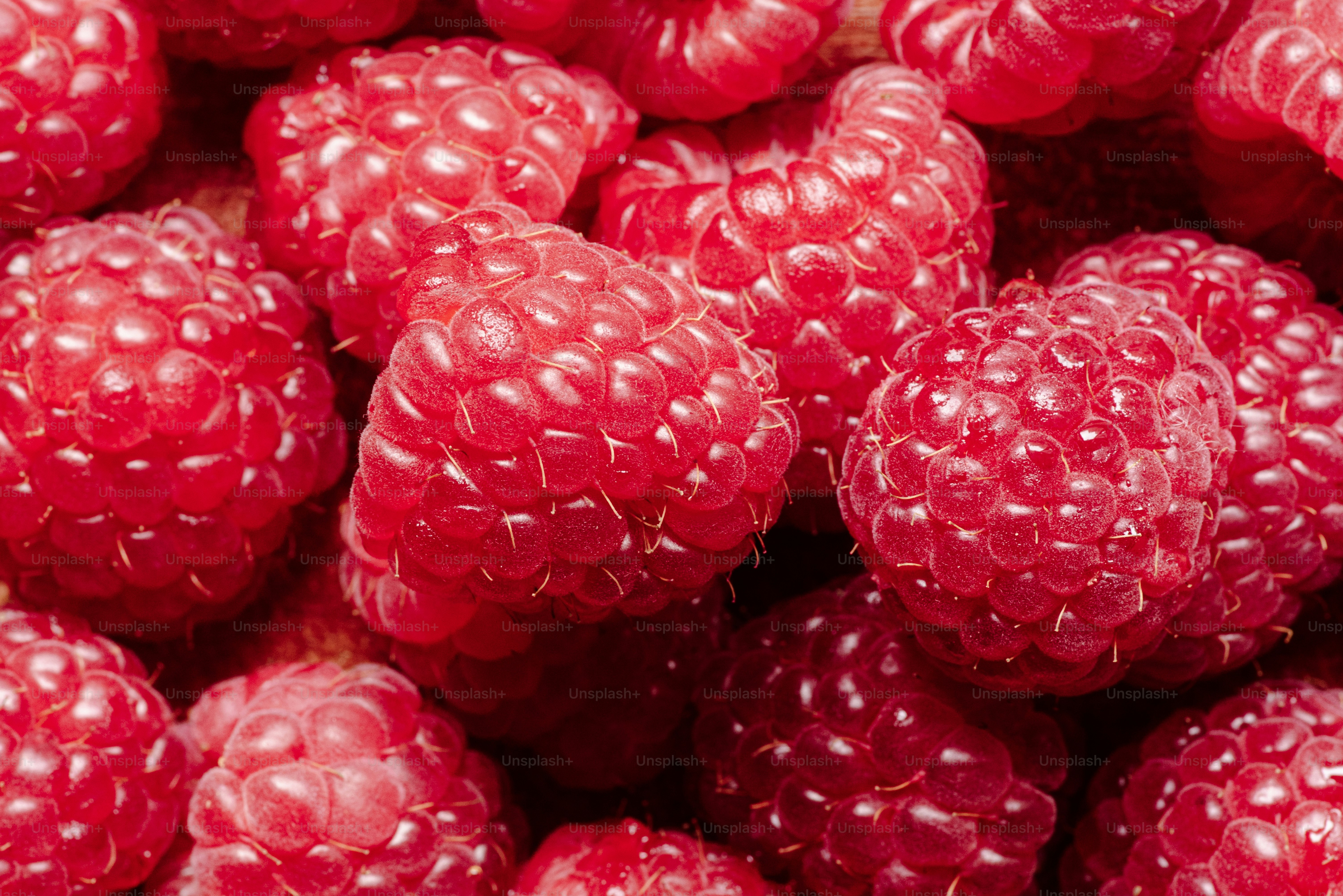Images de Framboises | Téléchargez des images gratuites sur Unsplash