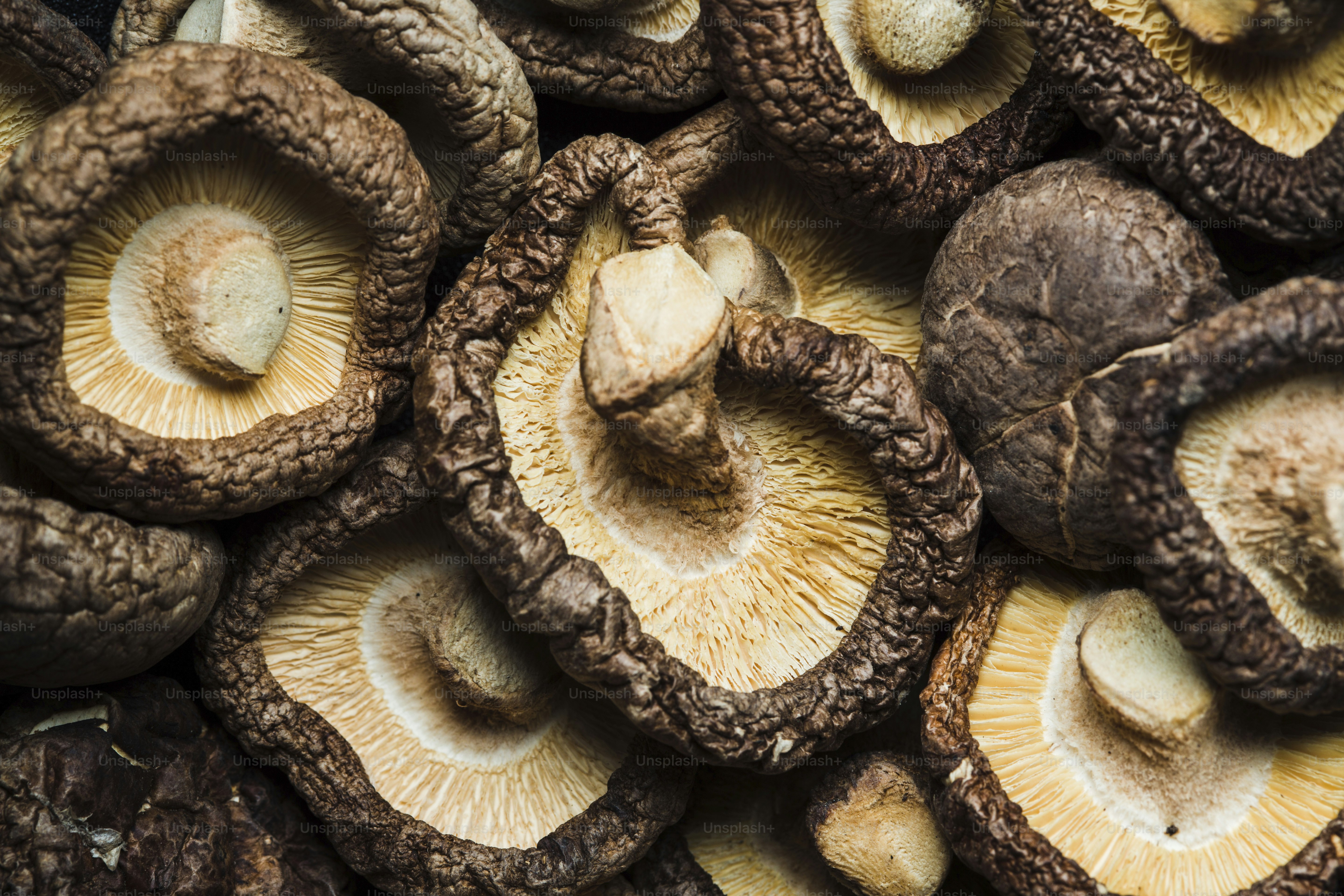 A pile of mushrooms sitting next to each other