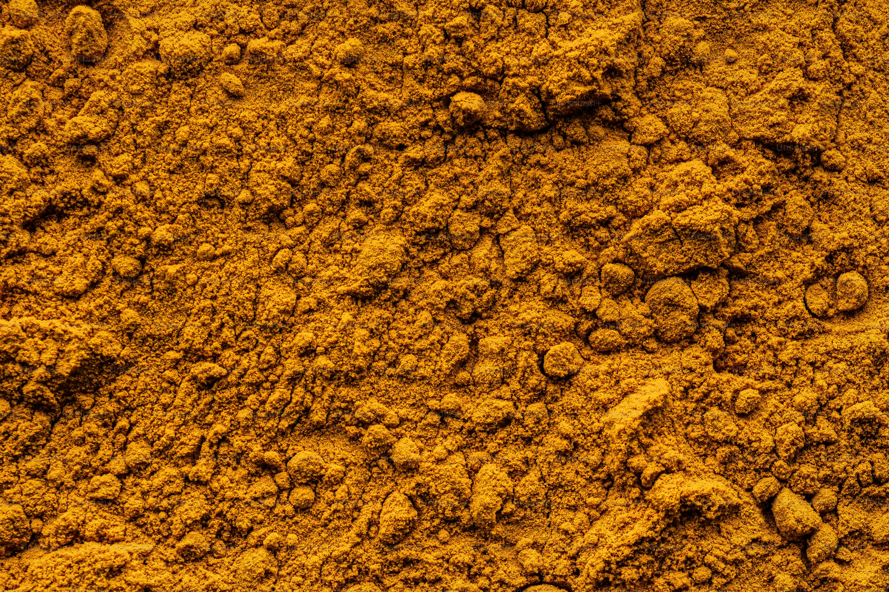 Turmeric (Curcuma longa) - Whole Finger