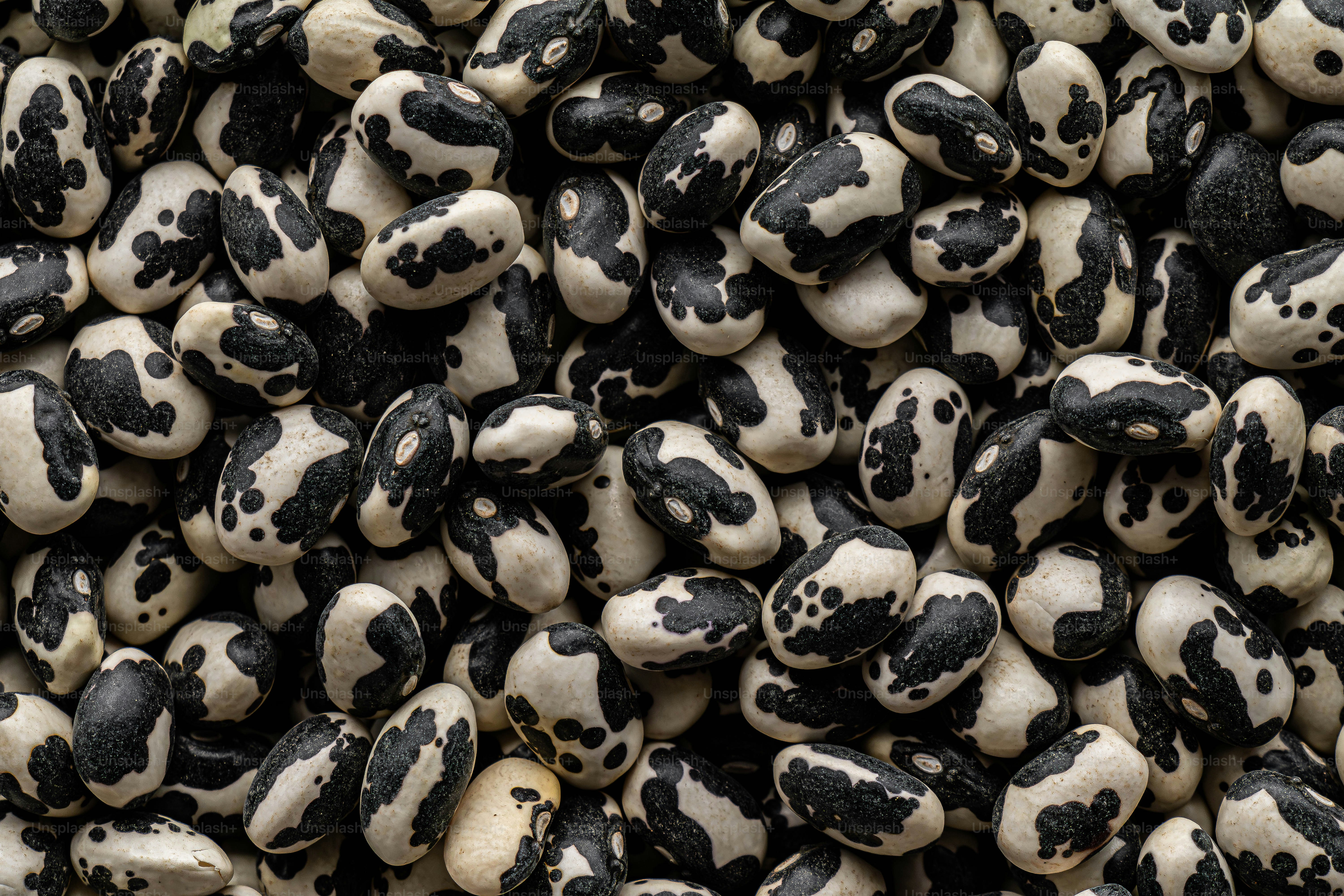 Ein Haufen aus schwarzen und weißen dalmatinischen Steinen