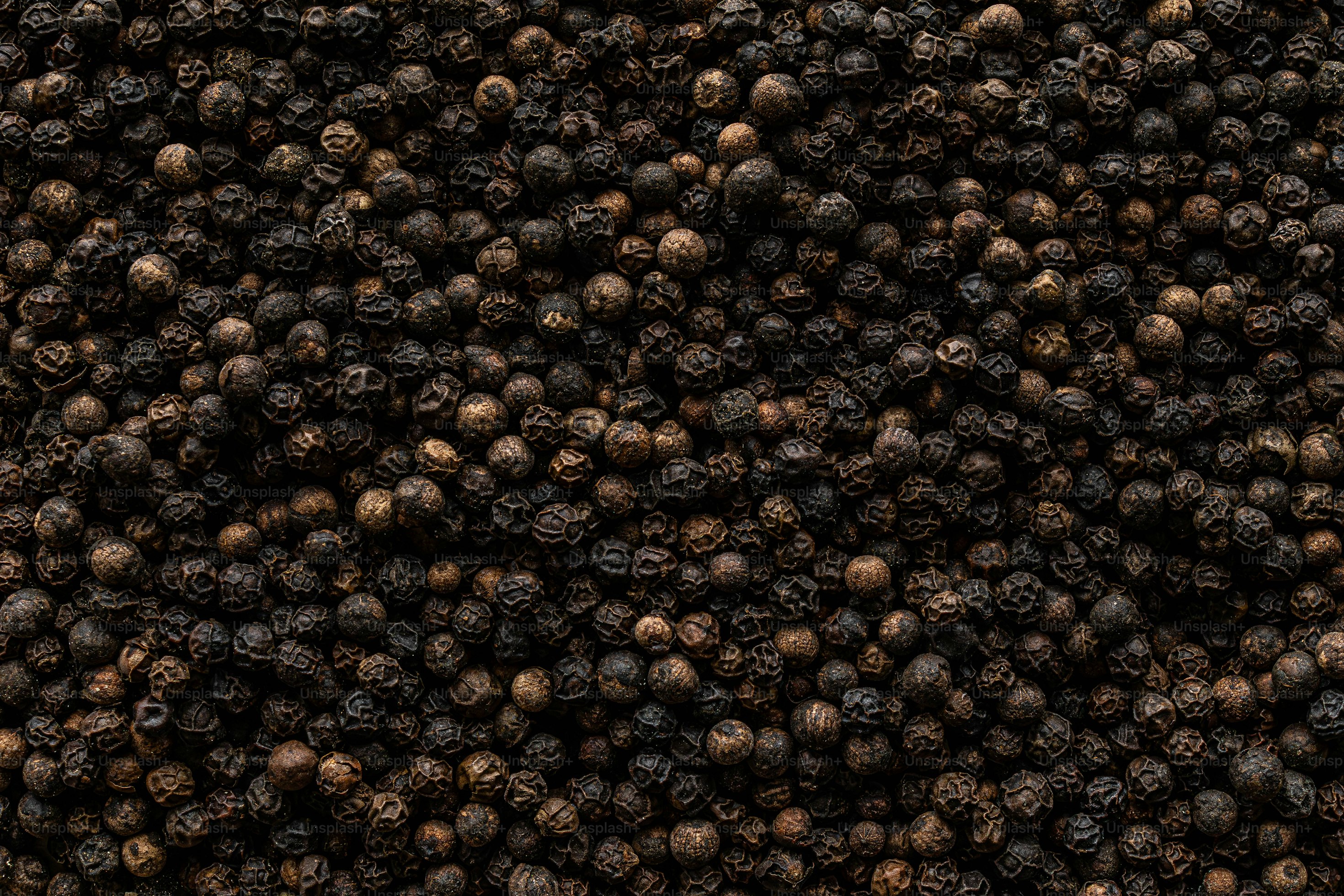 Black Pepper (Piper nigrum)
