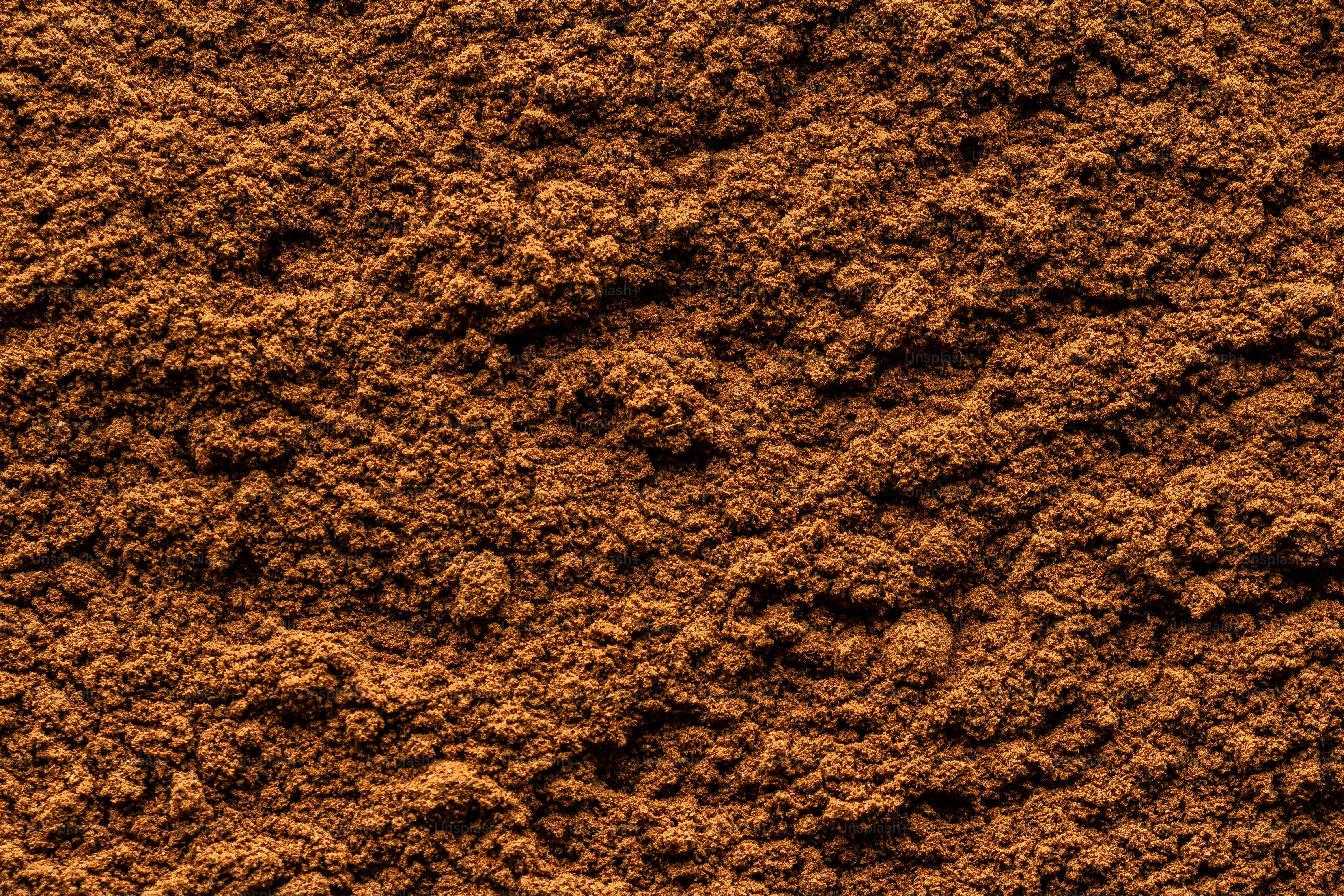 cinnamon powder