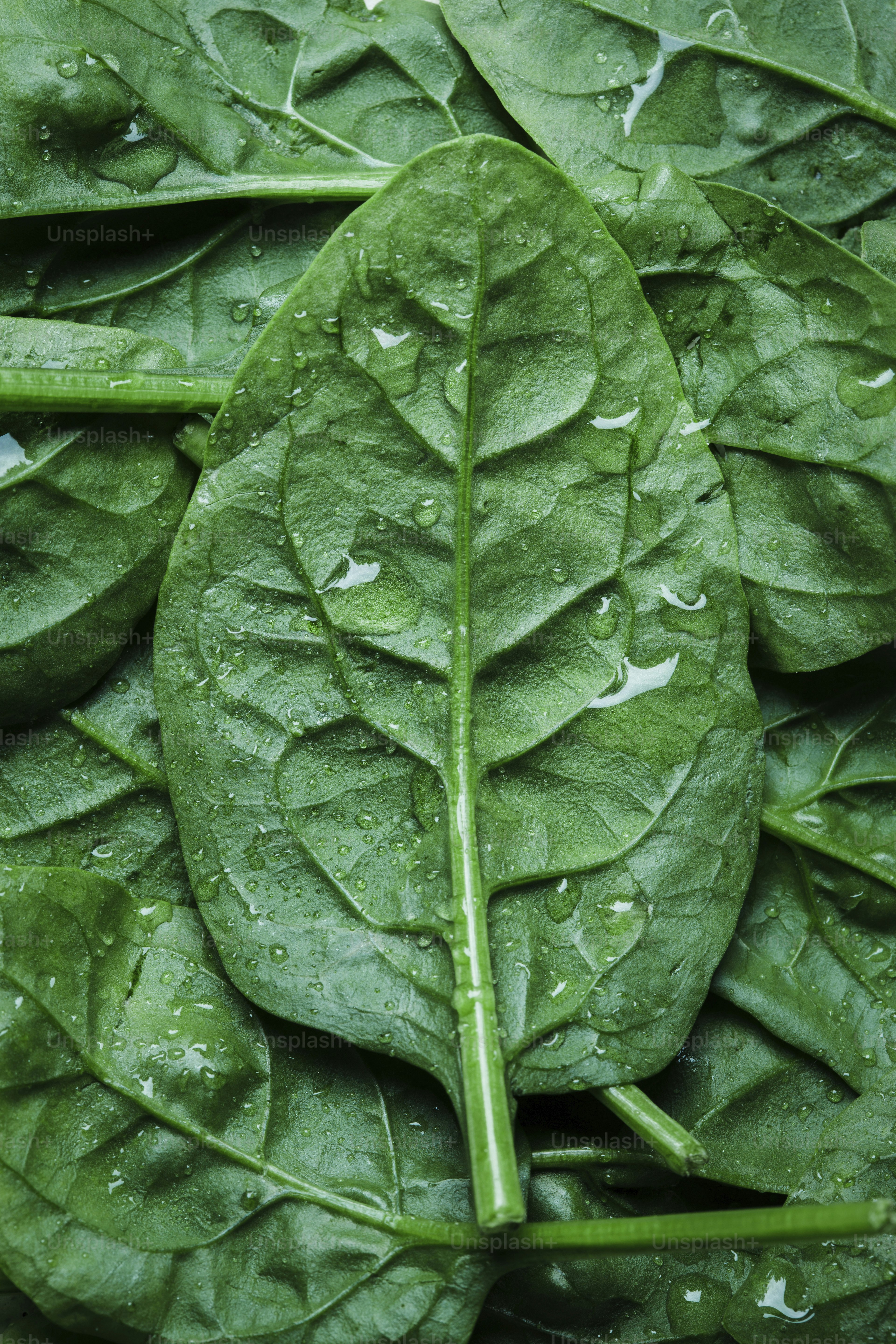Leafy greens like spinach and kale