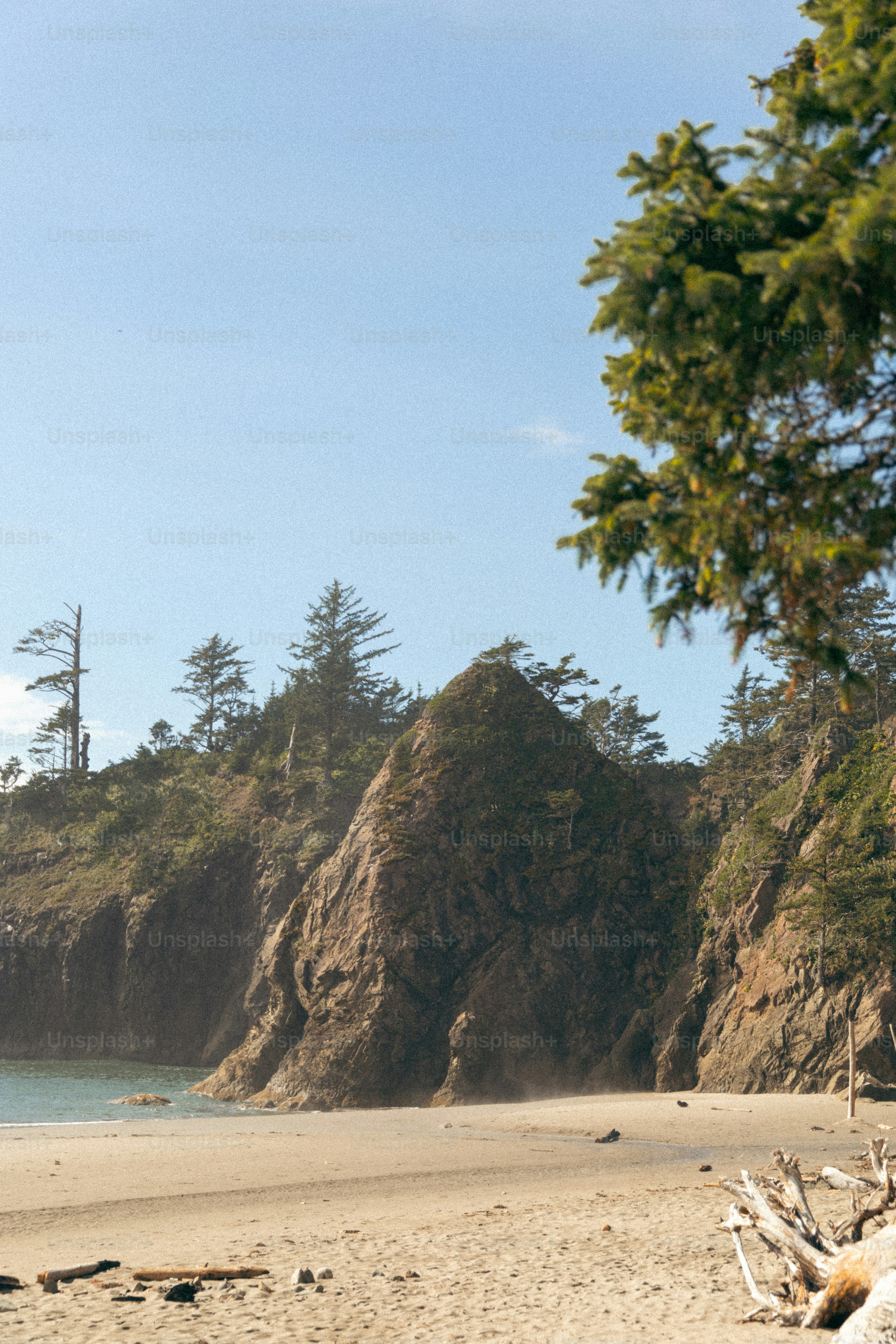A view of a beach with trees and a cliff in the background