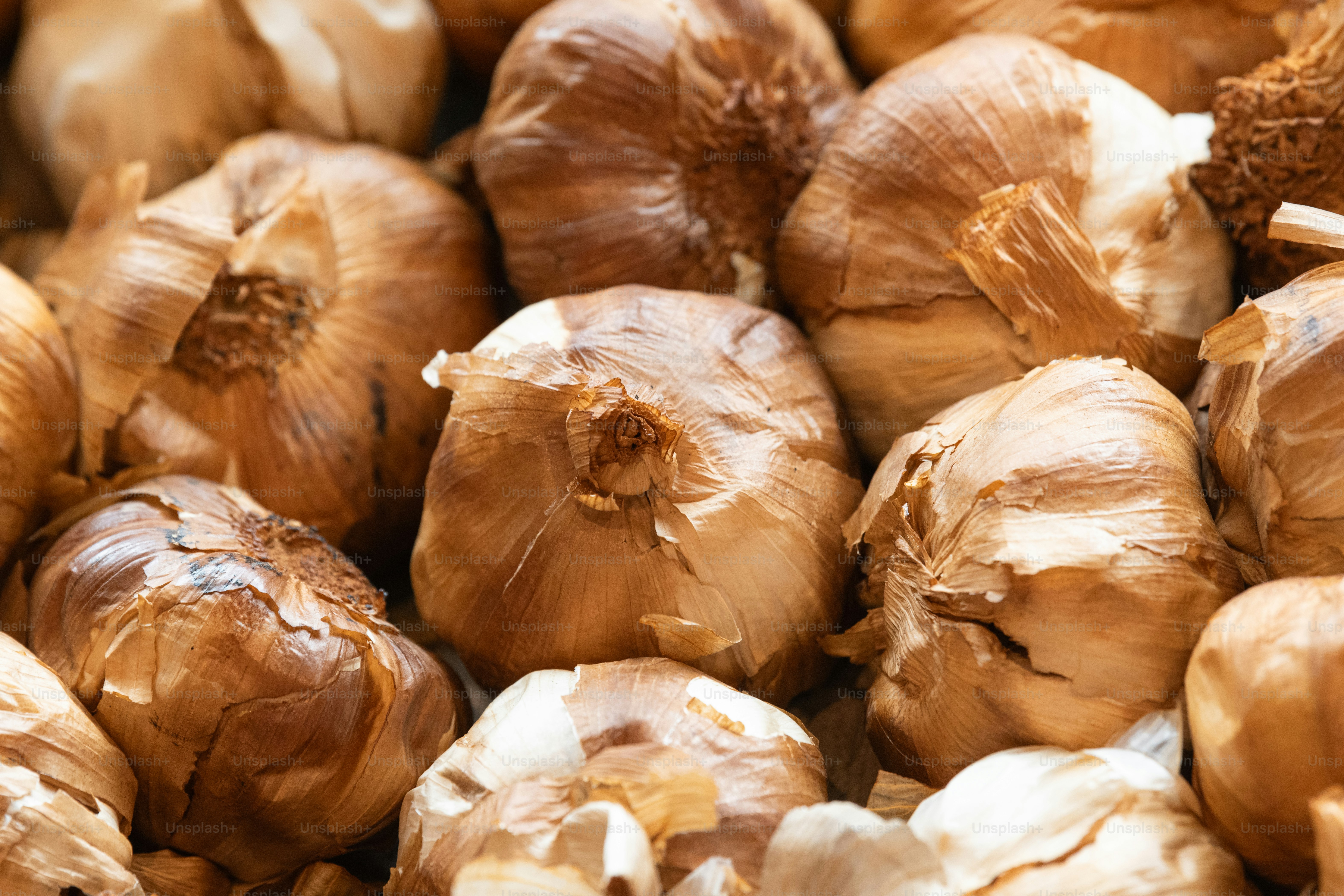 Un gros plan d’un tas de bulbes d’ail