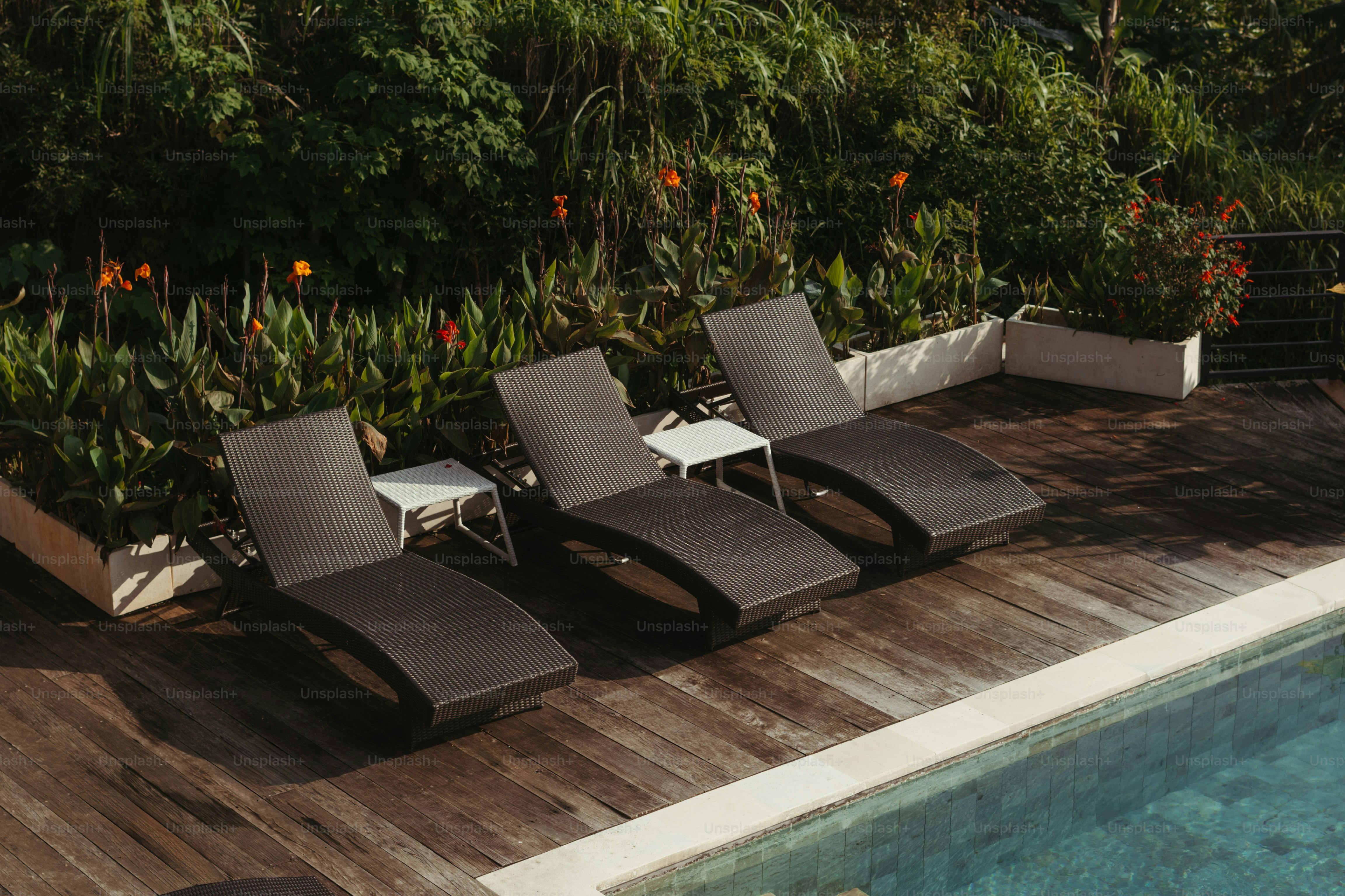 A row of lounge chairs next to a swimming pool