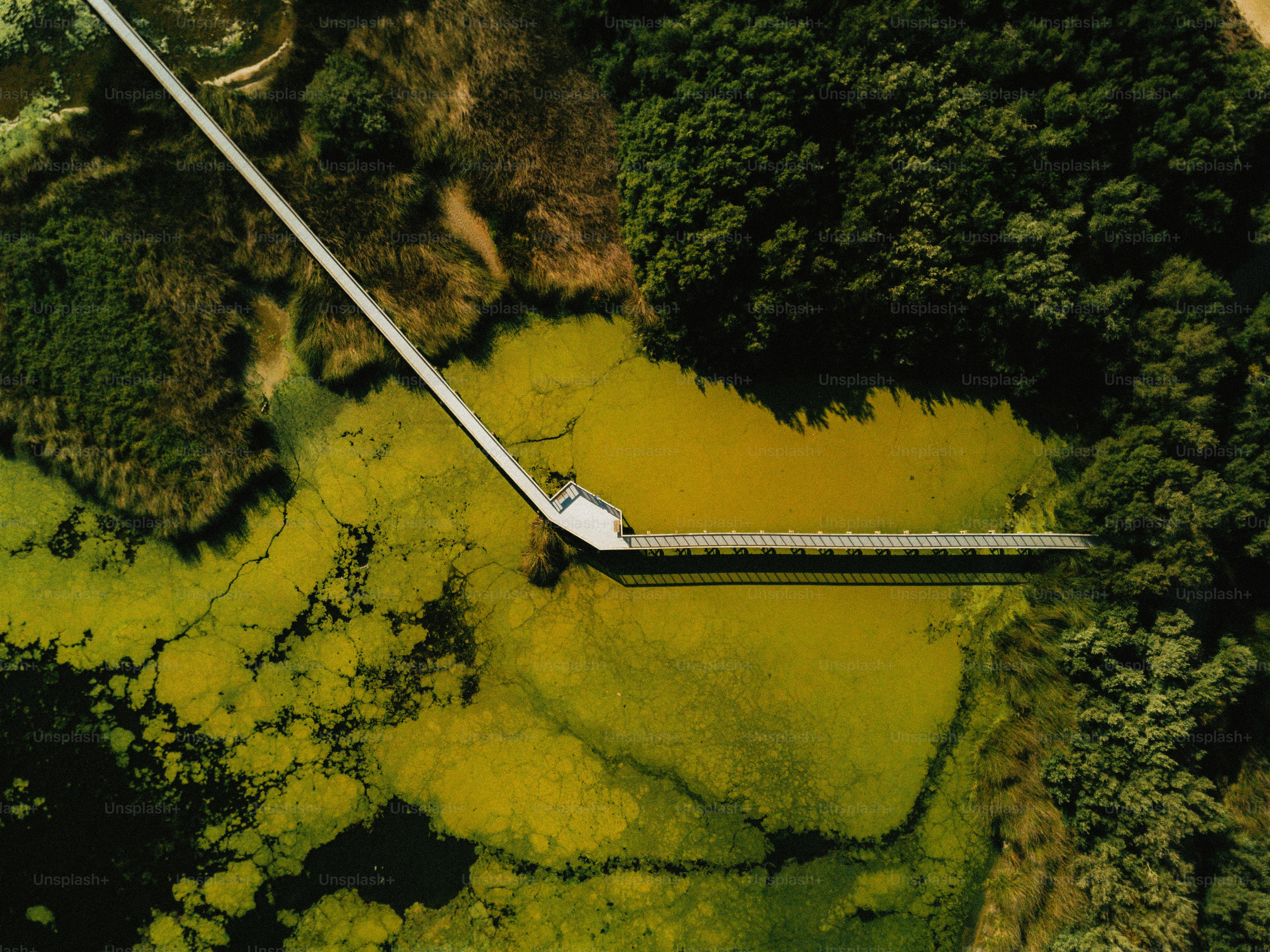 An aerial view of a green area with a house in the middle of it