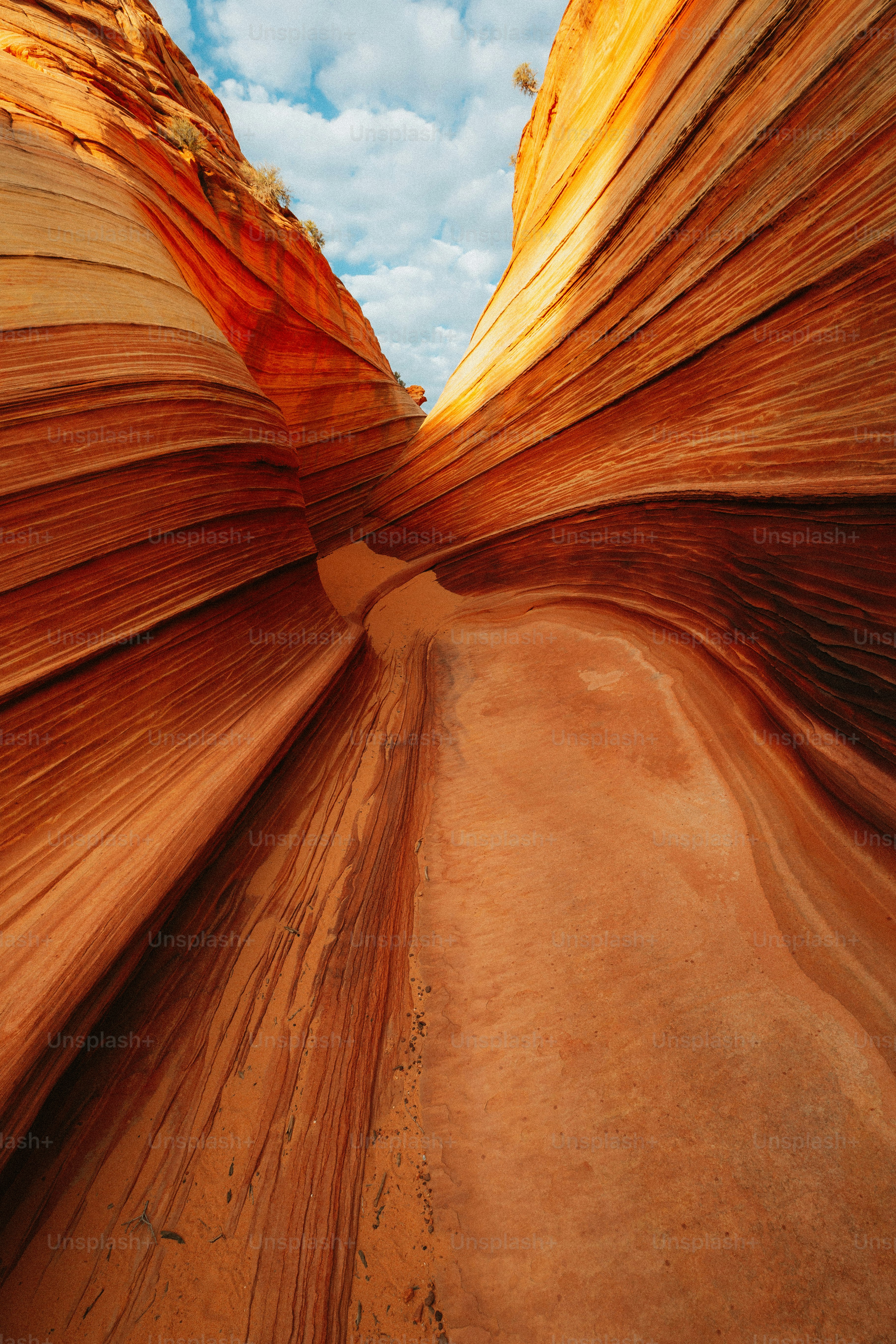 Un grand canyon avec un fond de ciel
