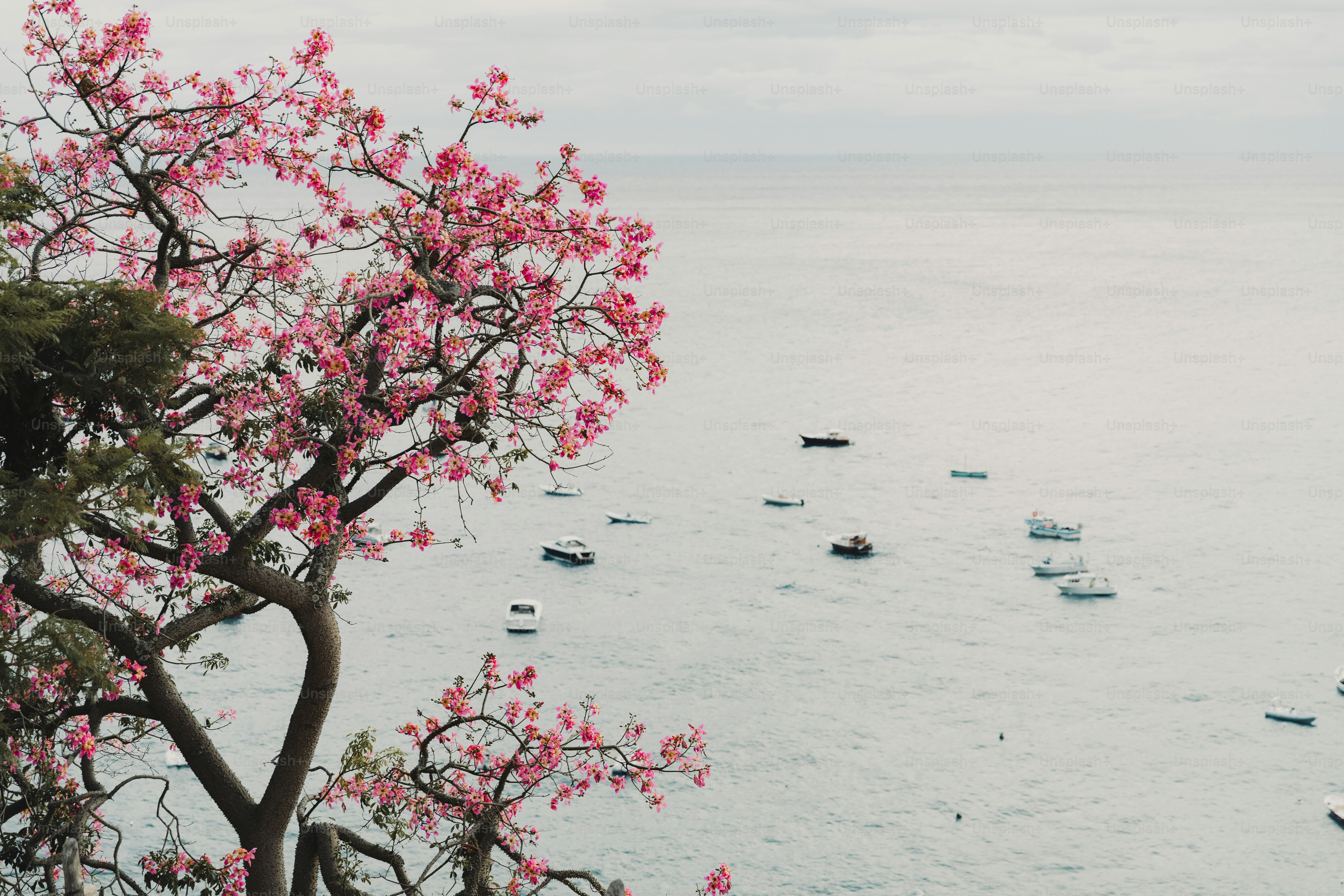 Un grupo de barcos flotando sobre una gran masa de agua