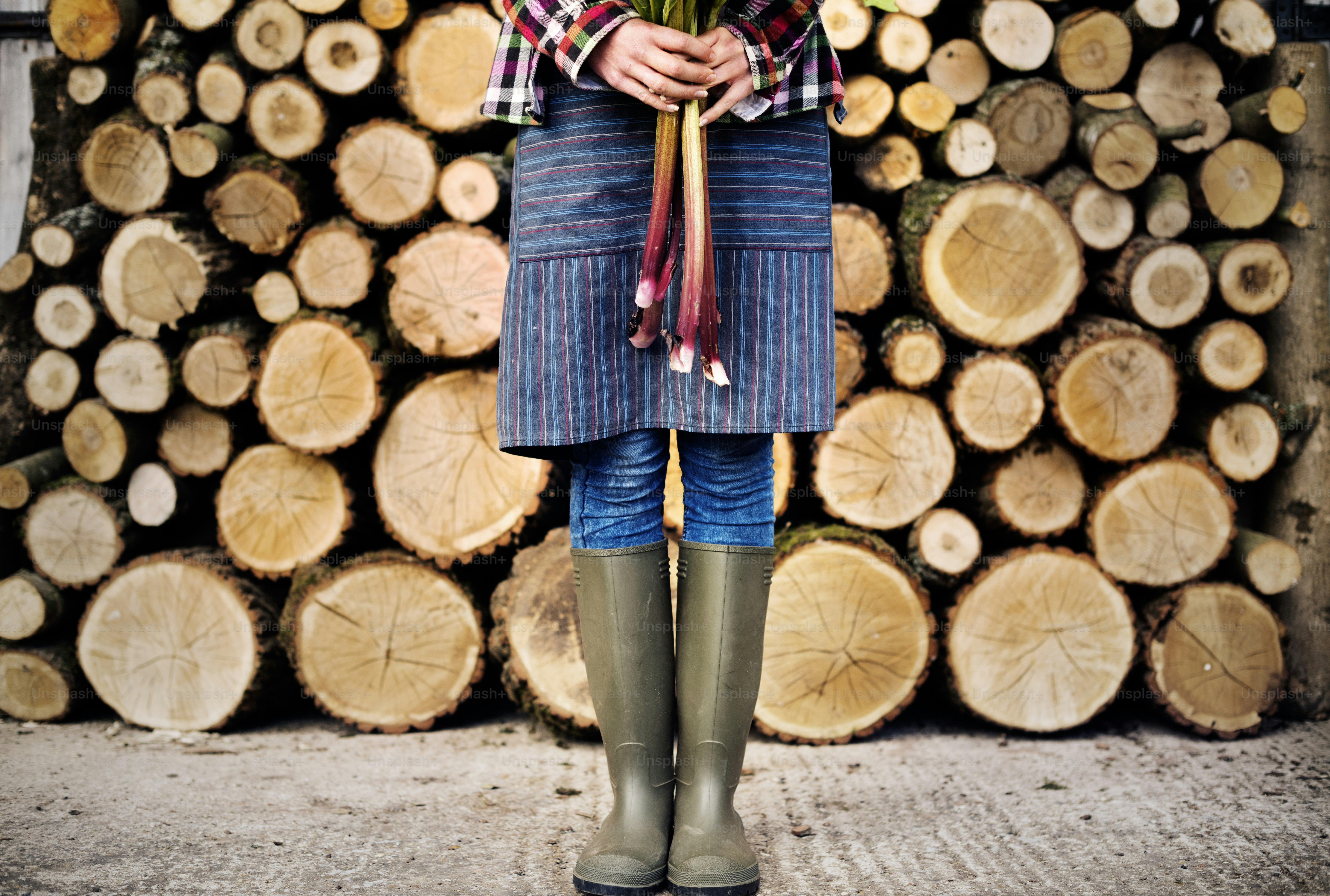 Firewood Fuelwood Lumber Timber Lumber Log Concept