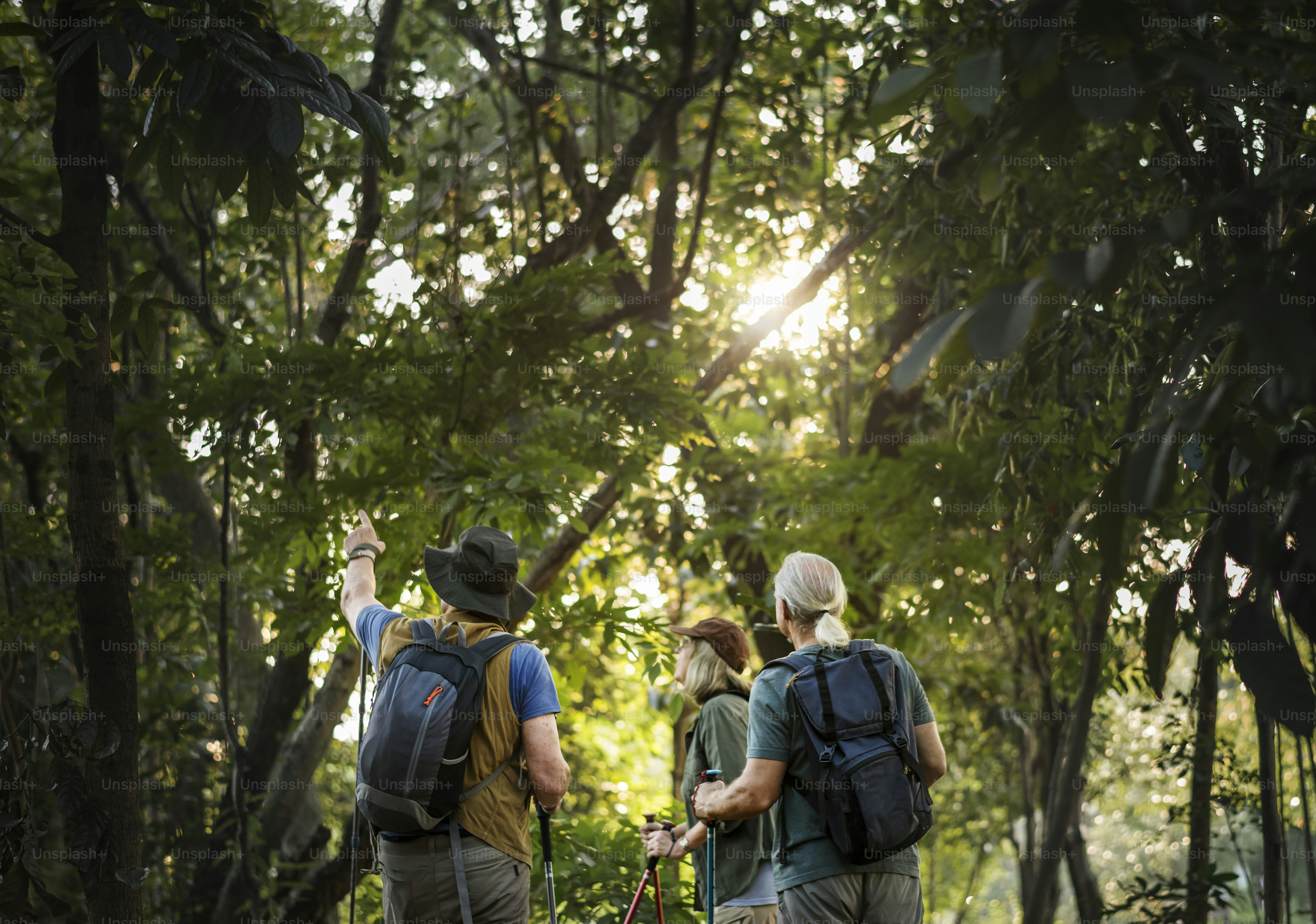 Lansia trekking di hutan