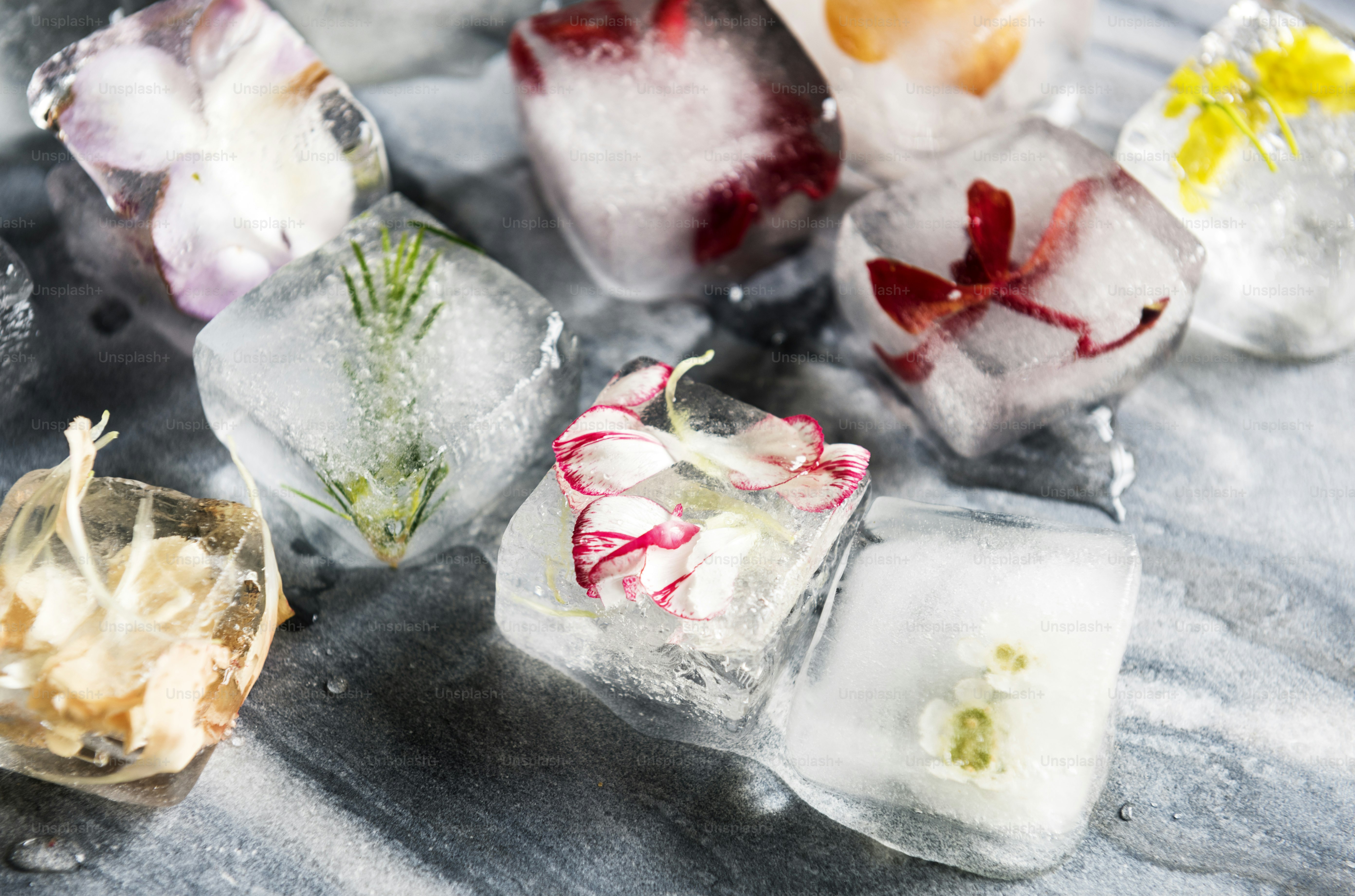 Flower in an ice cube on a marble plate