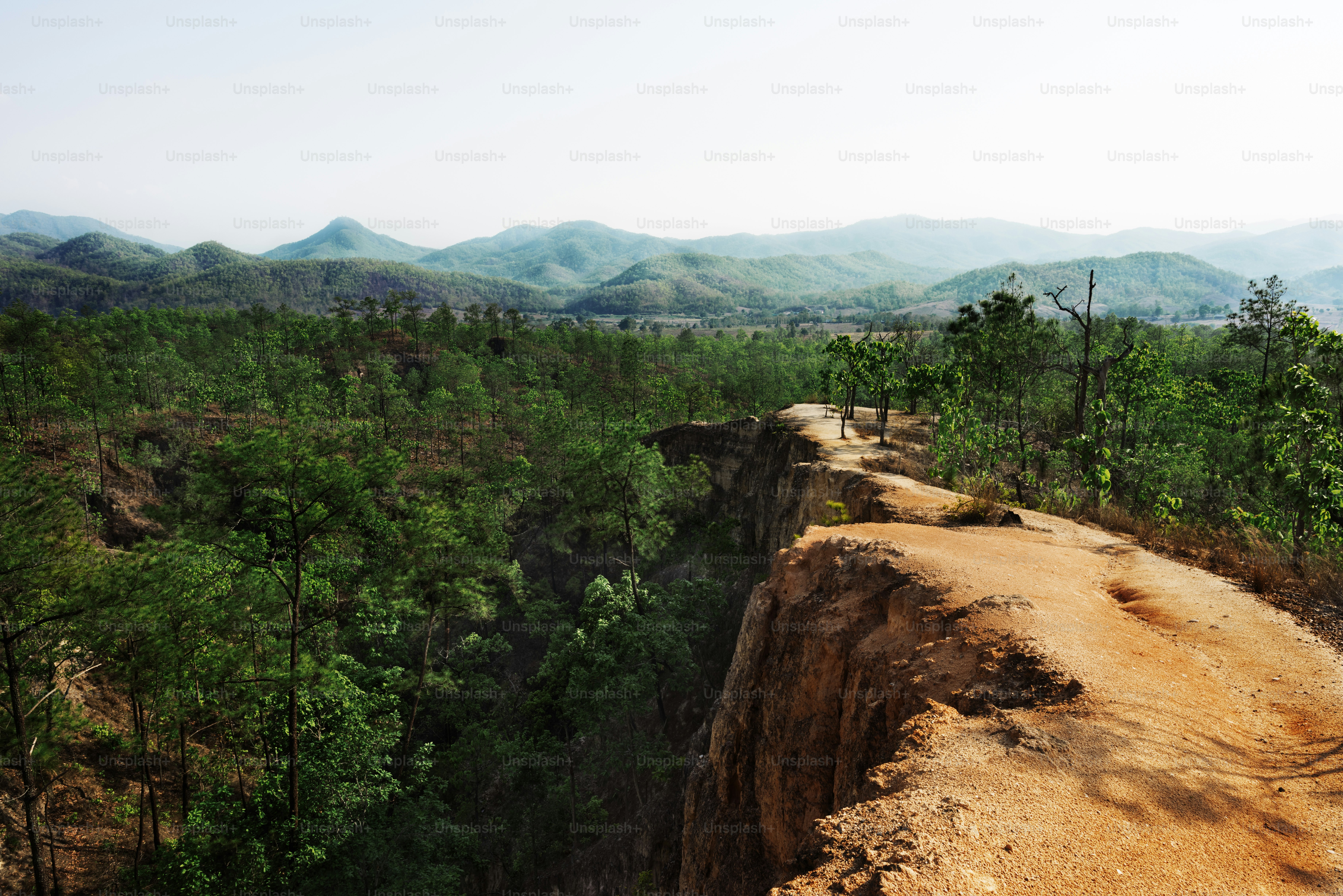 Rural Remote Tranquil Solitude Forest Countryside Concept
