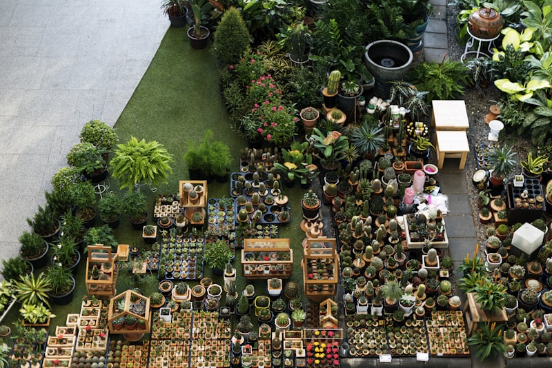 ***NOTE TO INSPECTOR: All visible graphics are our own design, and were produced for this particular shoot.***Cactus Houseplant Collection Decoration Set